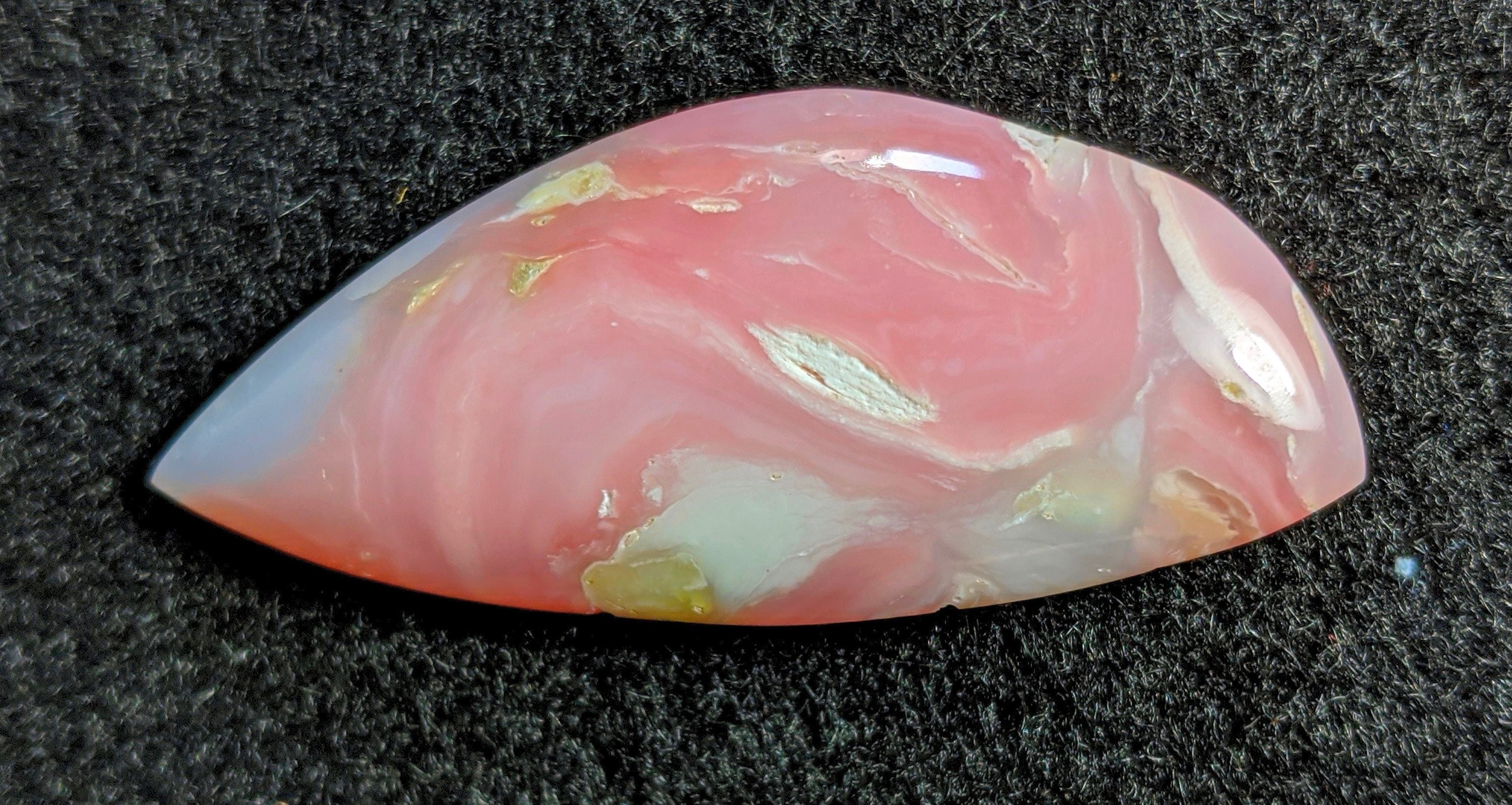 Opal Rose OnlyFans header