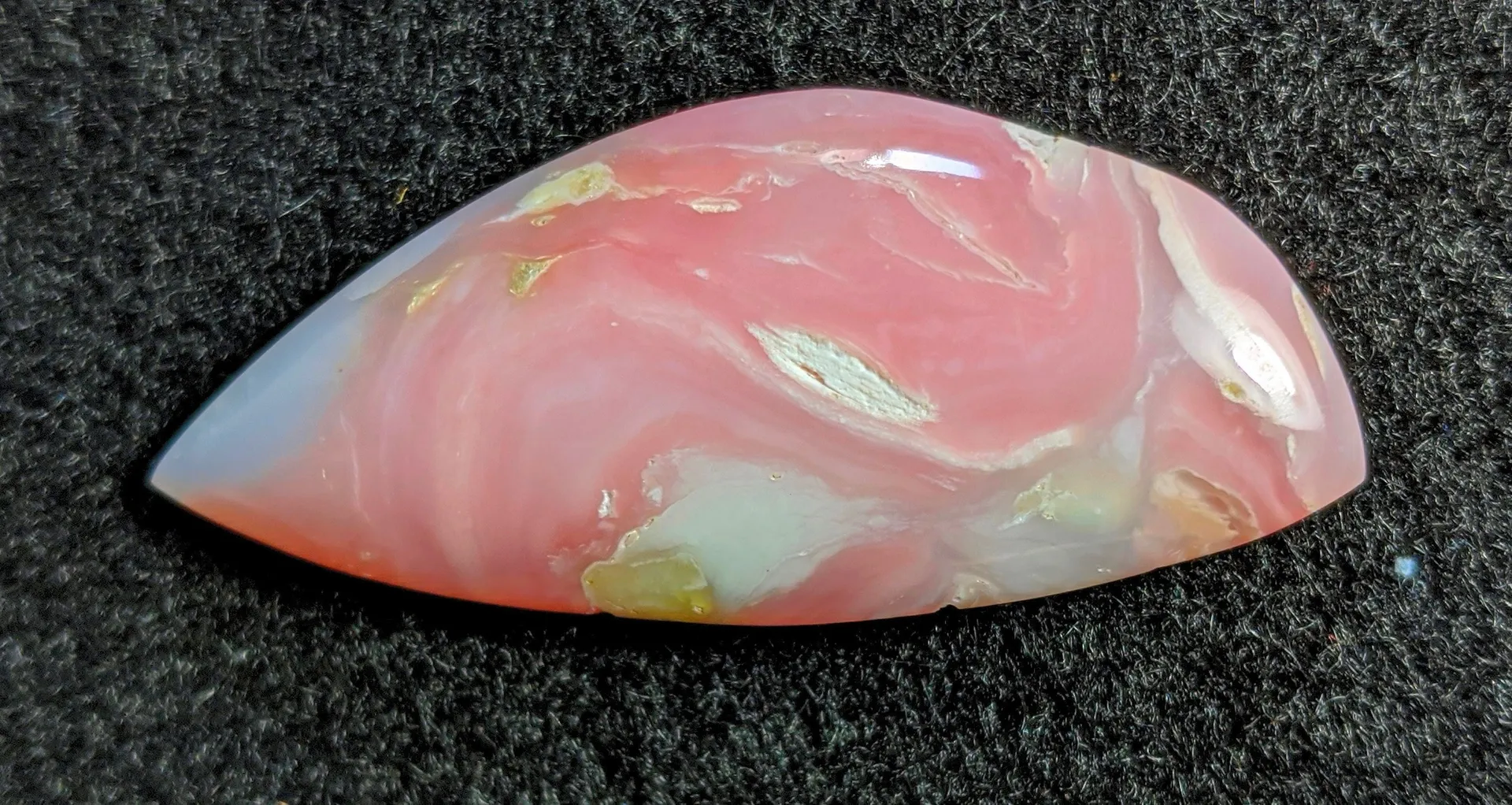 Opal Rose OnlyFans header