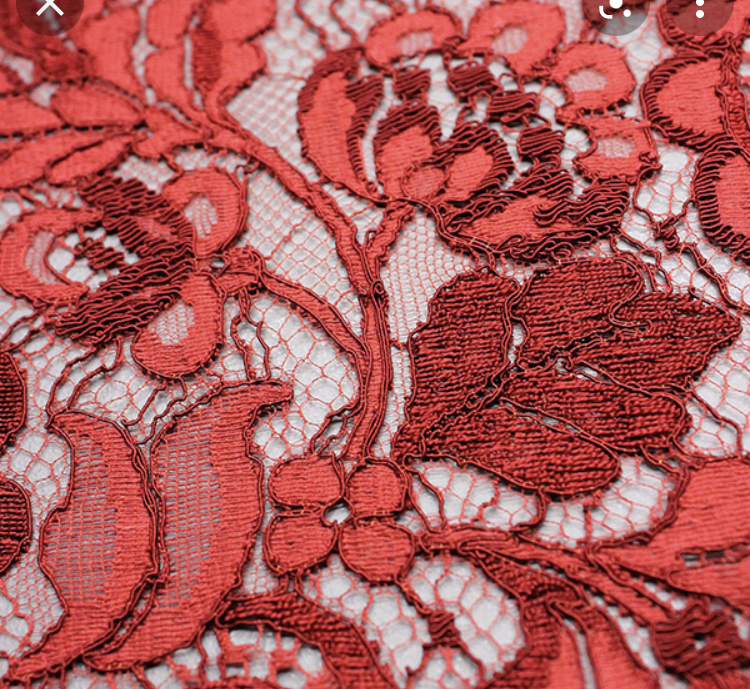 Opal OnlyFans header