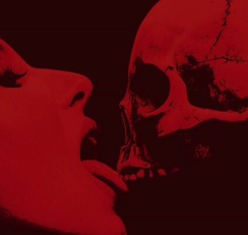 Kiki OnlyFans header