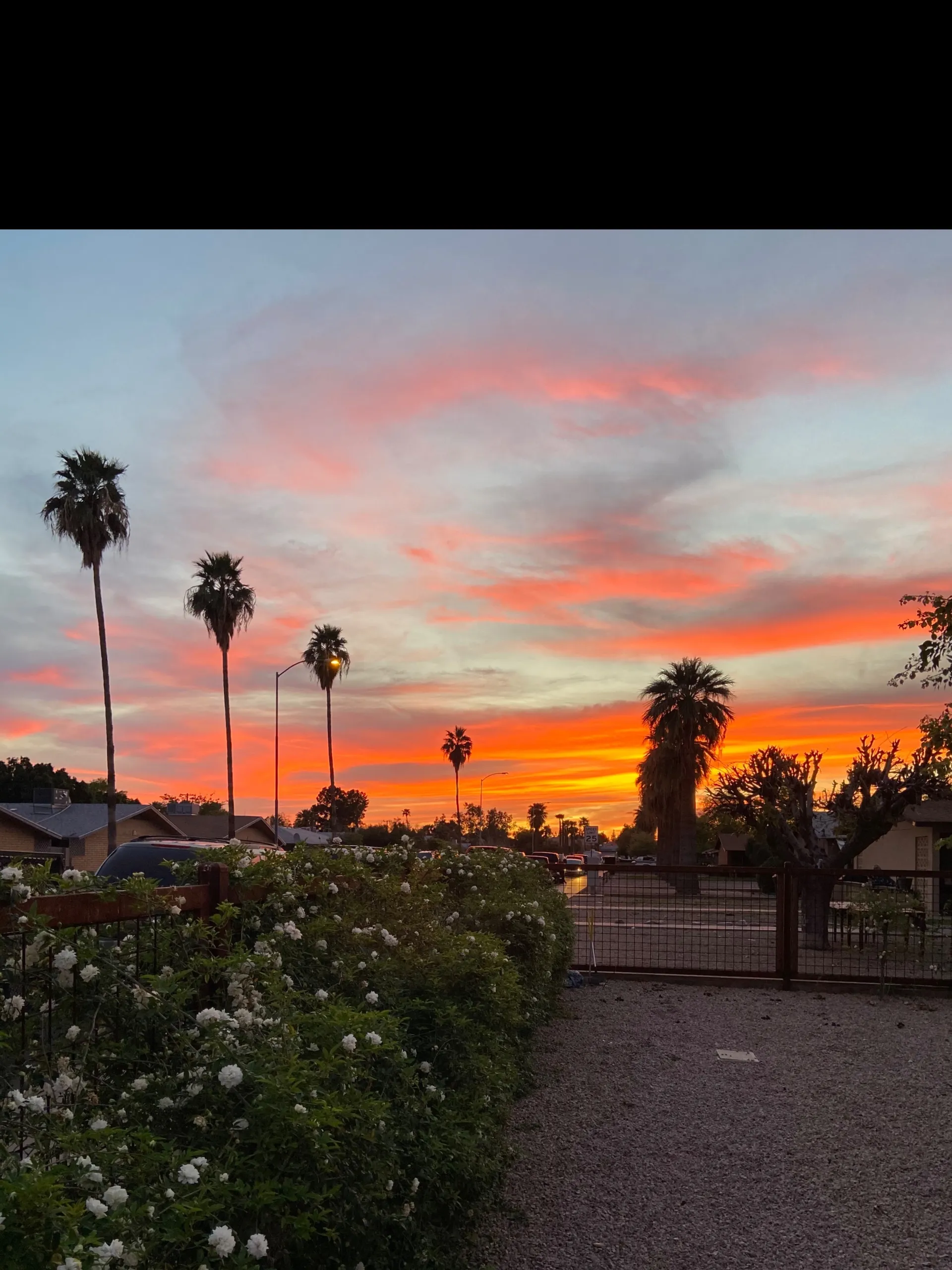 ophelia golde OnlyFans header