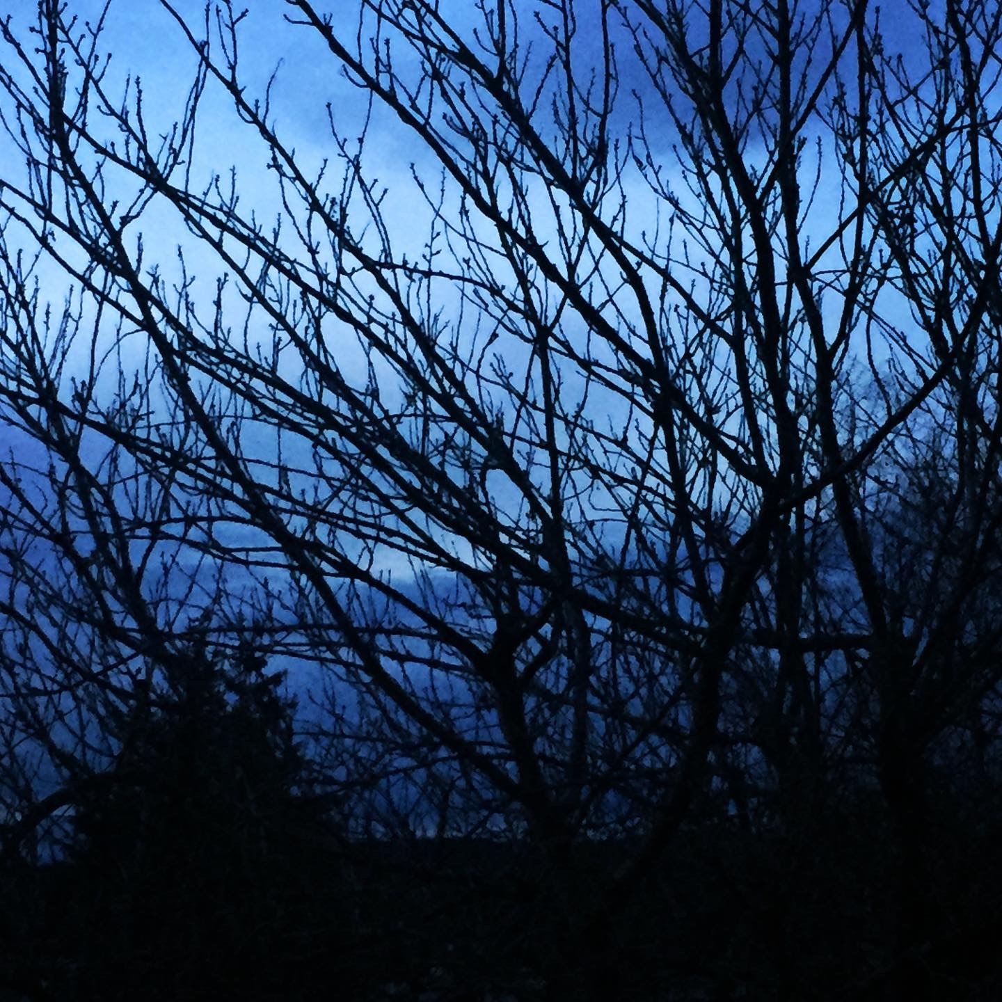 Ophelia Hex OnlyFans header