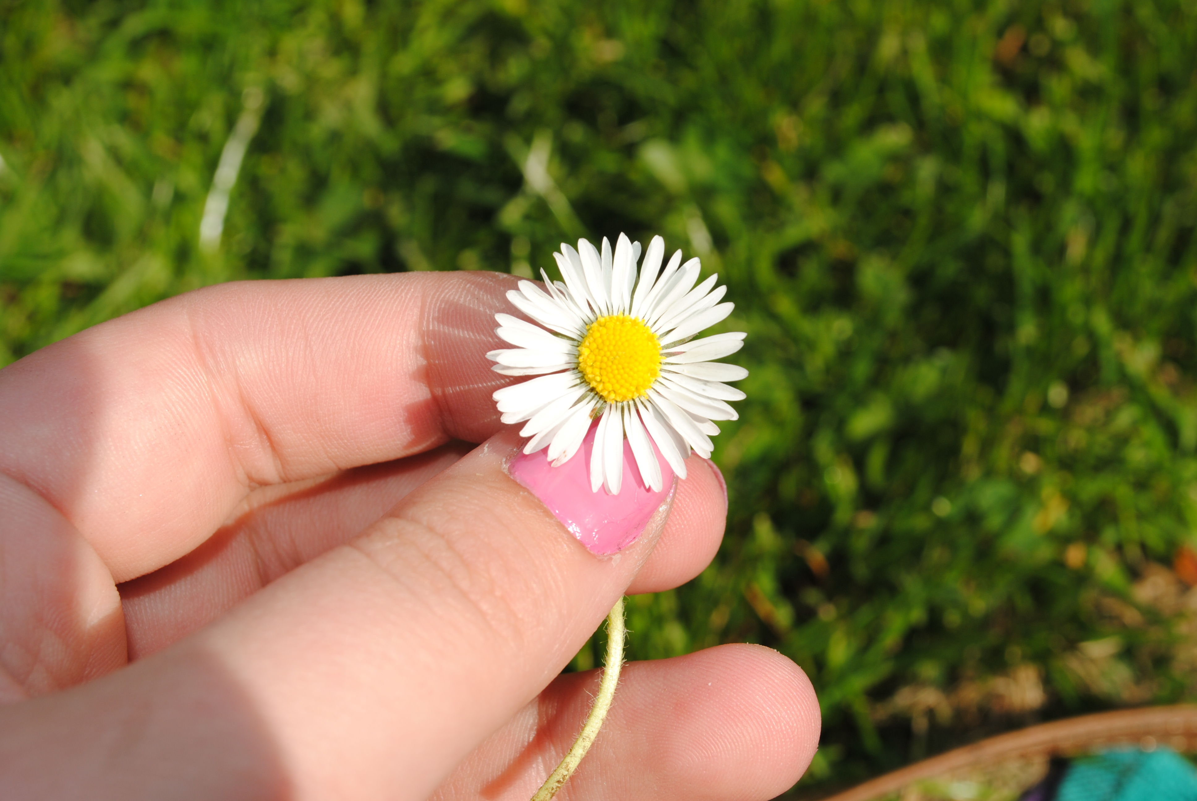 Ophelia Bunny OnlyFans header