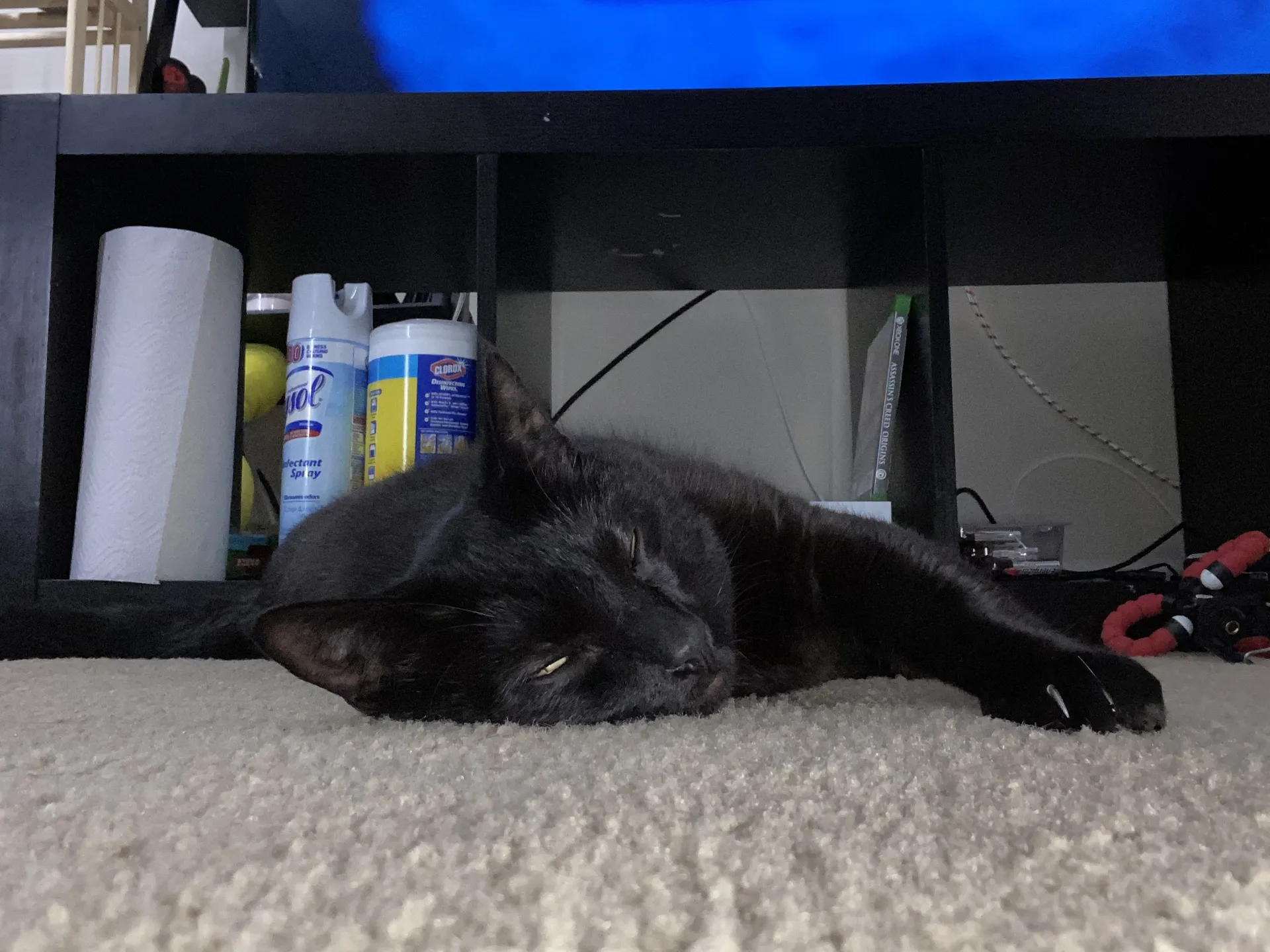 Calliope OnlyFans header