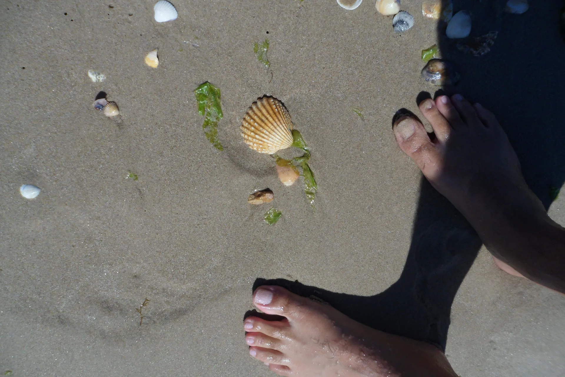 Iberê Apoema OnlyFans header