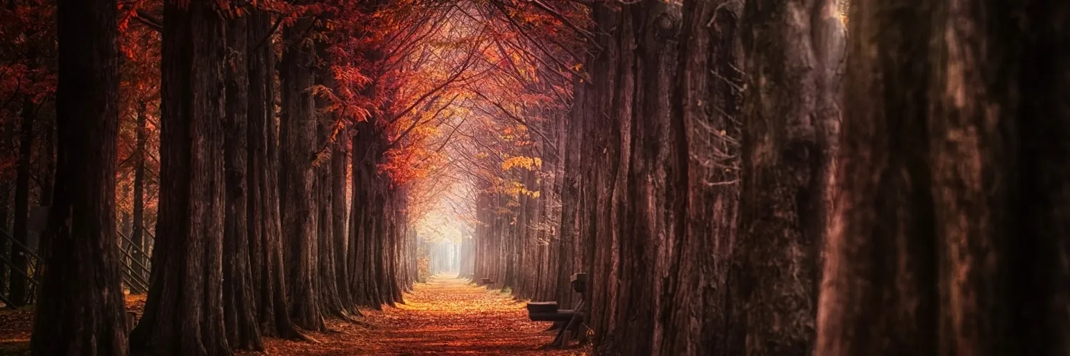 opossum OnlyFans header