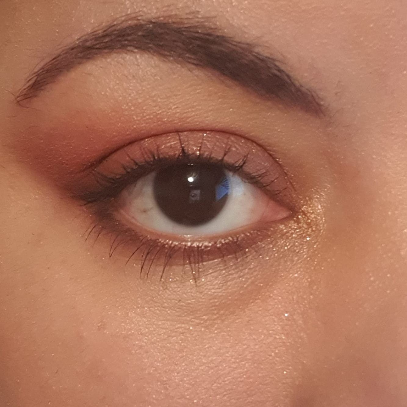 Optimus Lexus OnlyFans