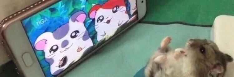 William De Souza OnlyFans header