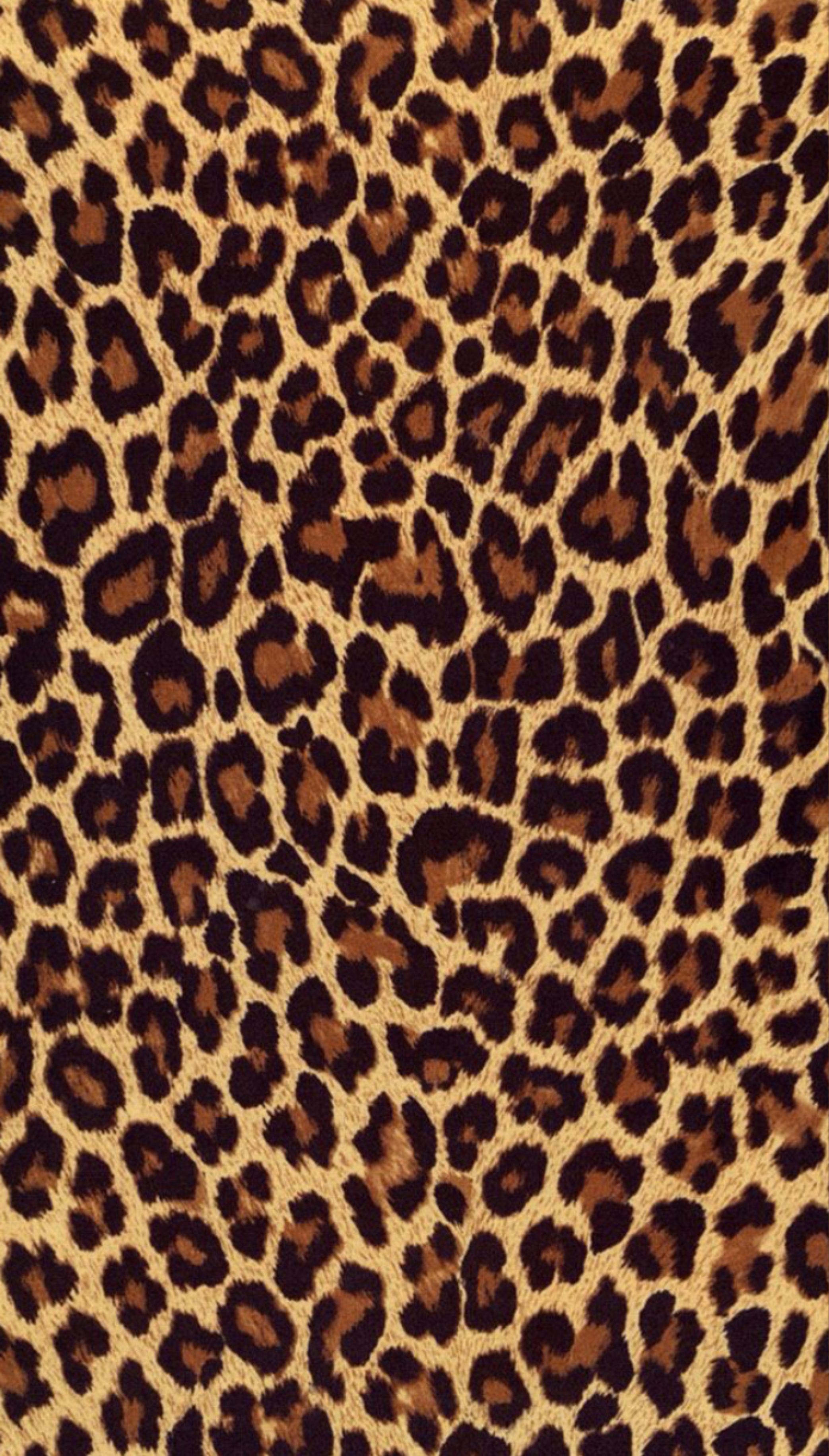 Orange baby OnlyFans header