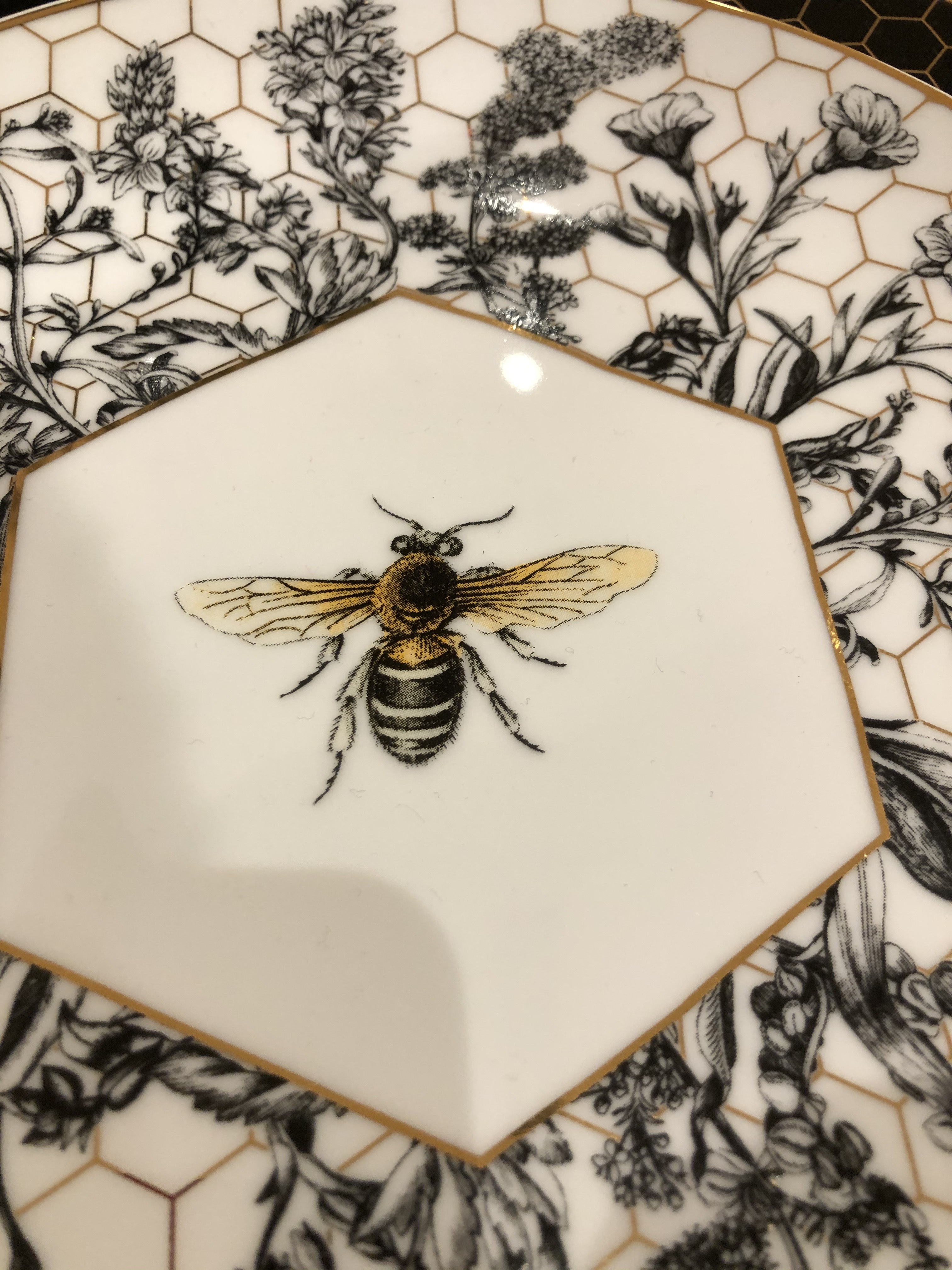 Mouse OnlyFans header