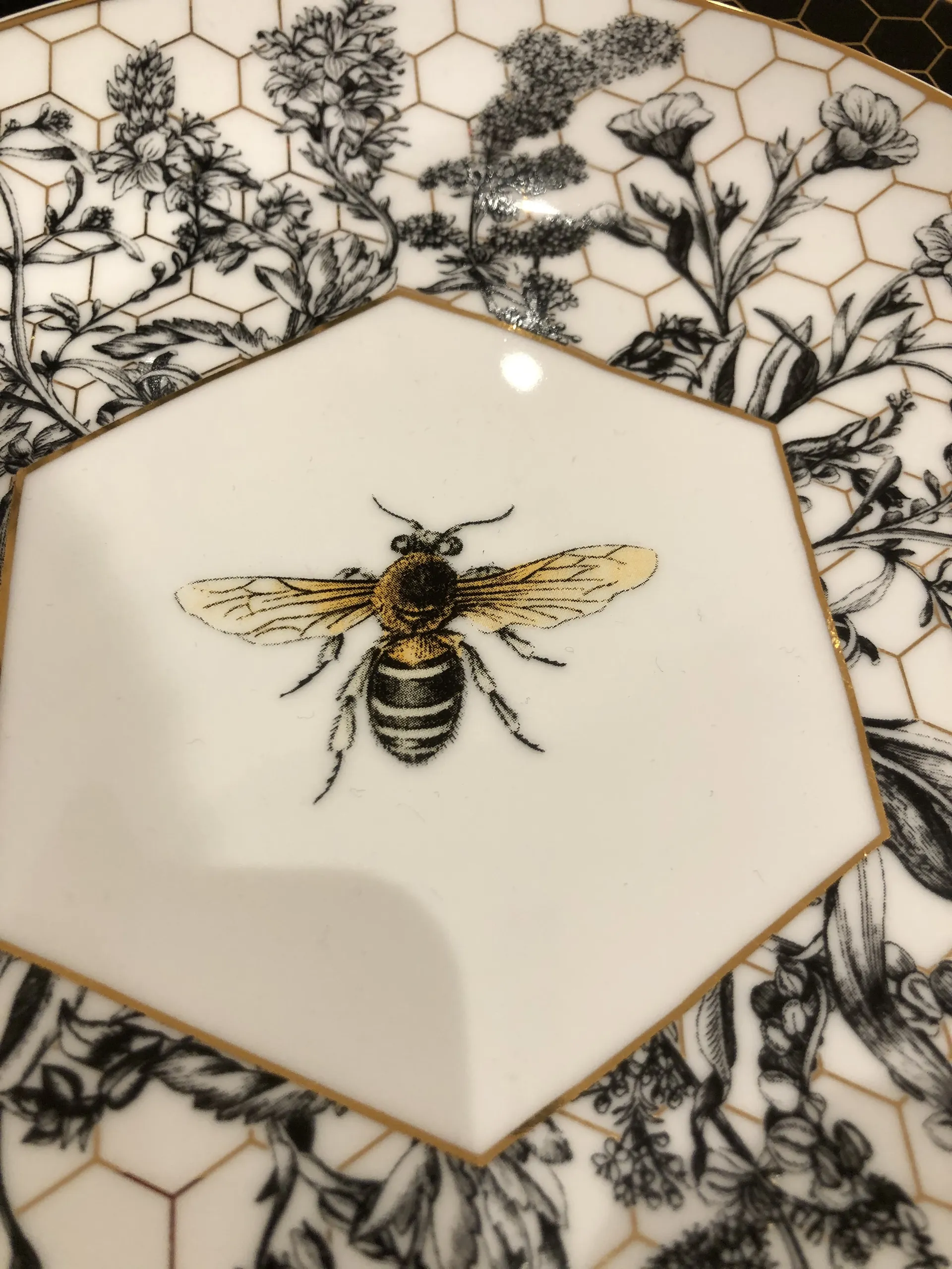 Mouse OnlyFans header