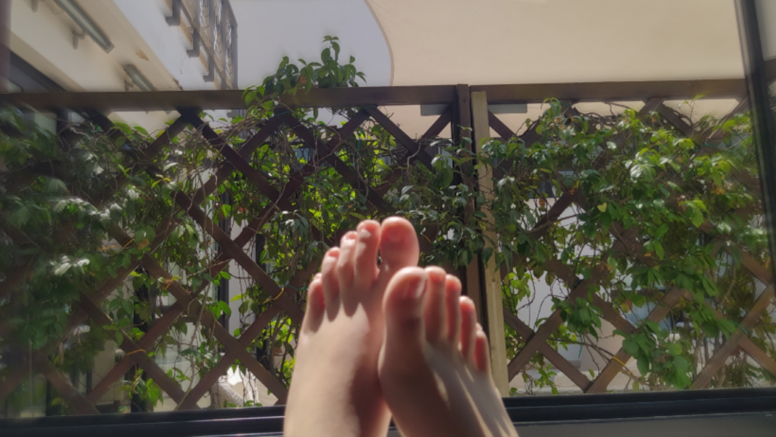 M☹︎RI OnlyFans header