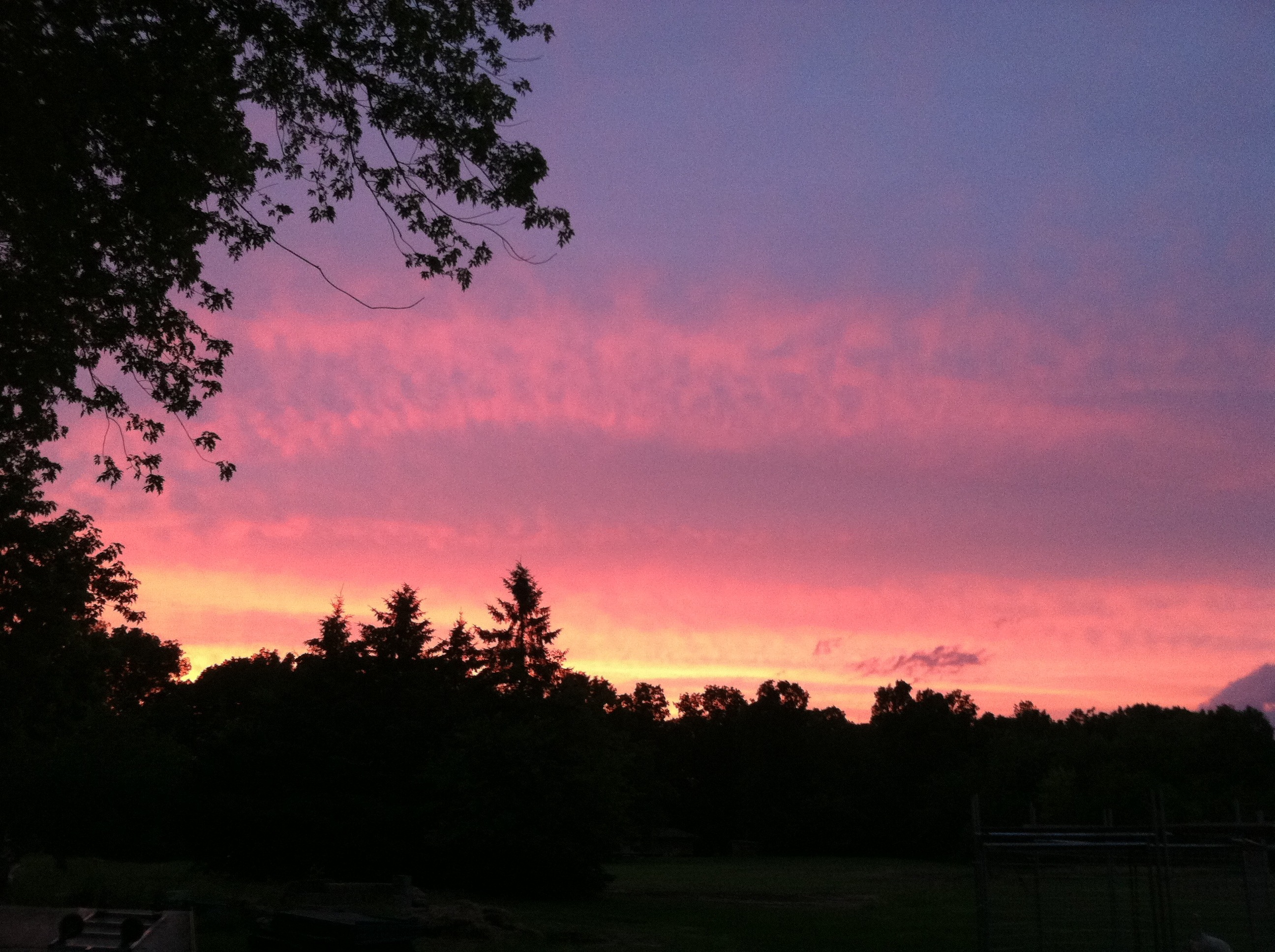 Orchid_night OnlyFans header