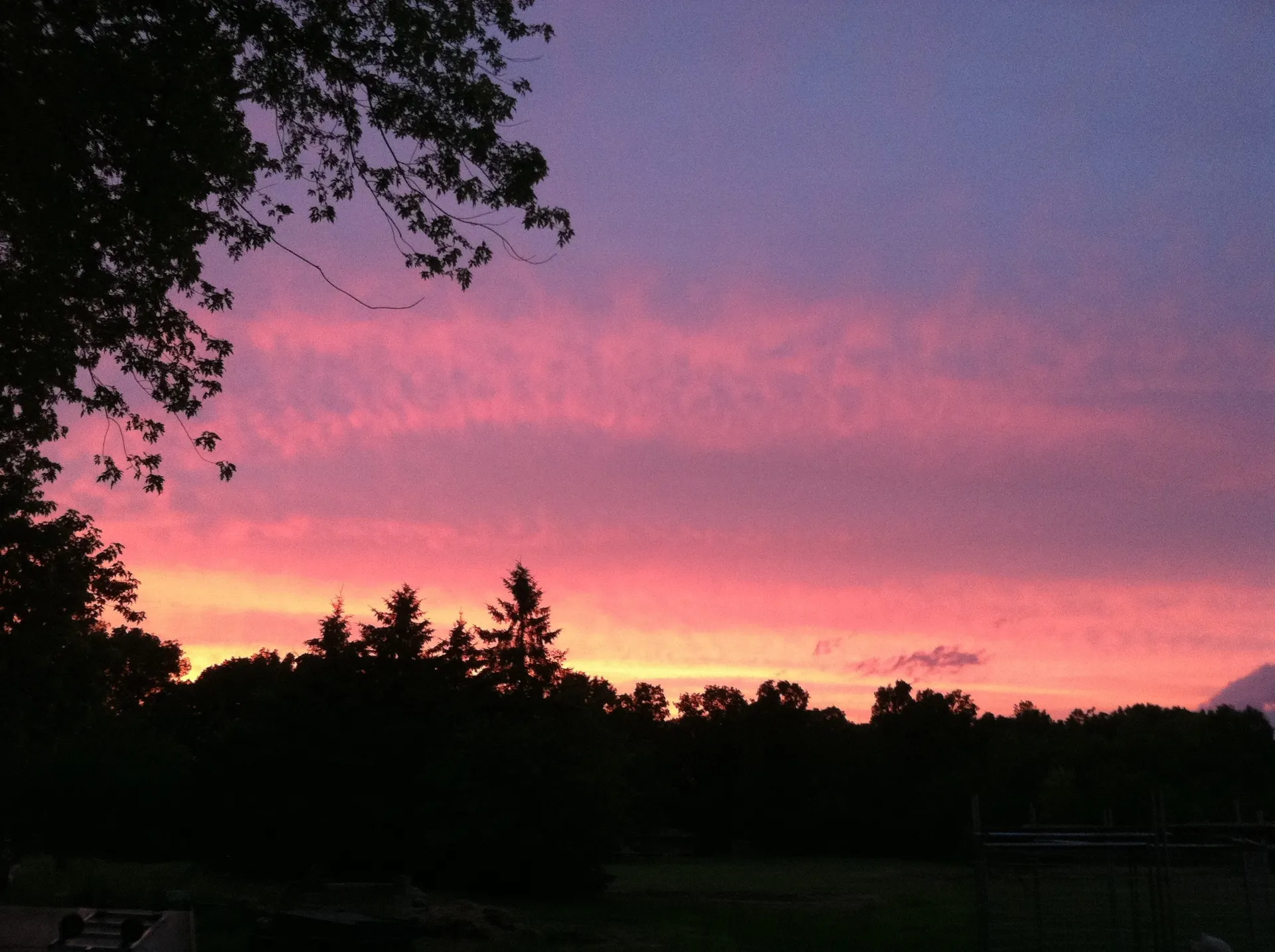 Orchid_night OnlyFans header