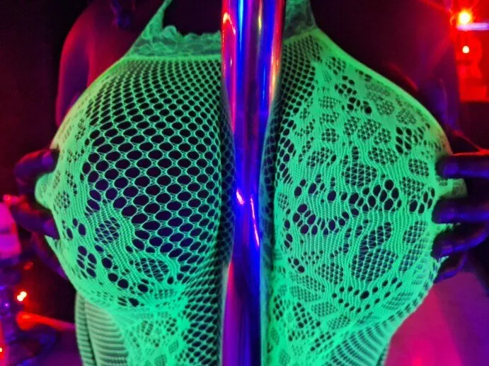 Orchid the pet OnlyFans header