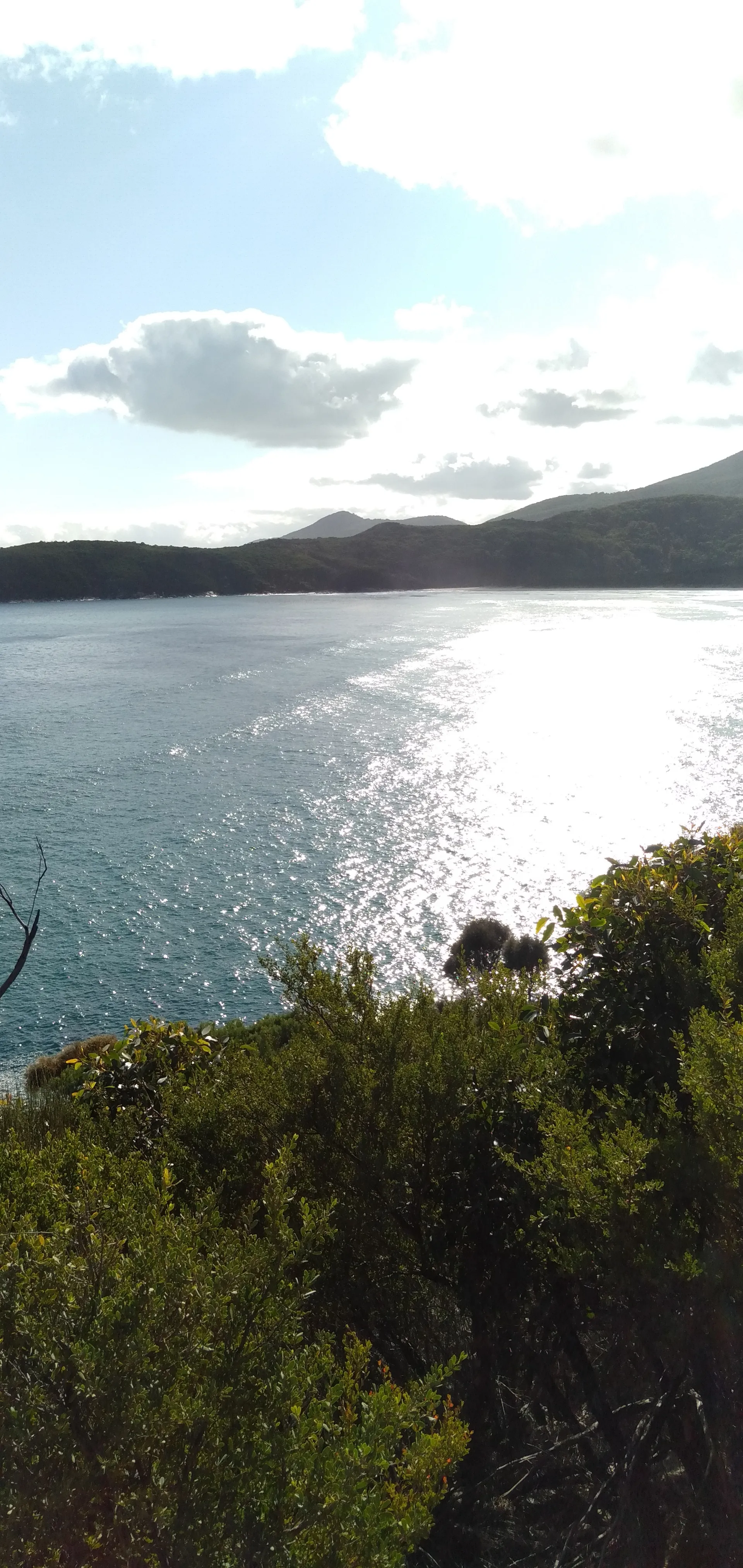 Ordinal OnlyFans header