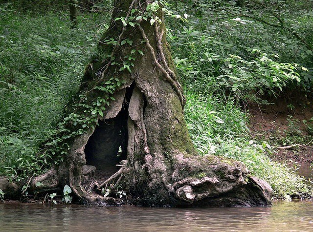 Ordith OnlyFans header