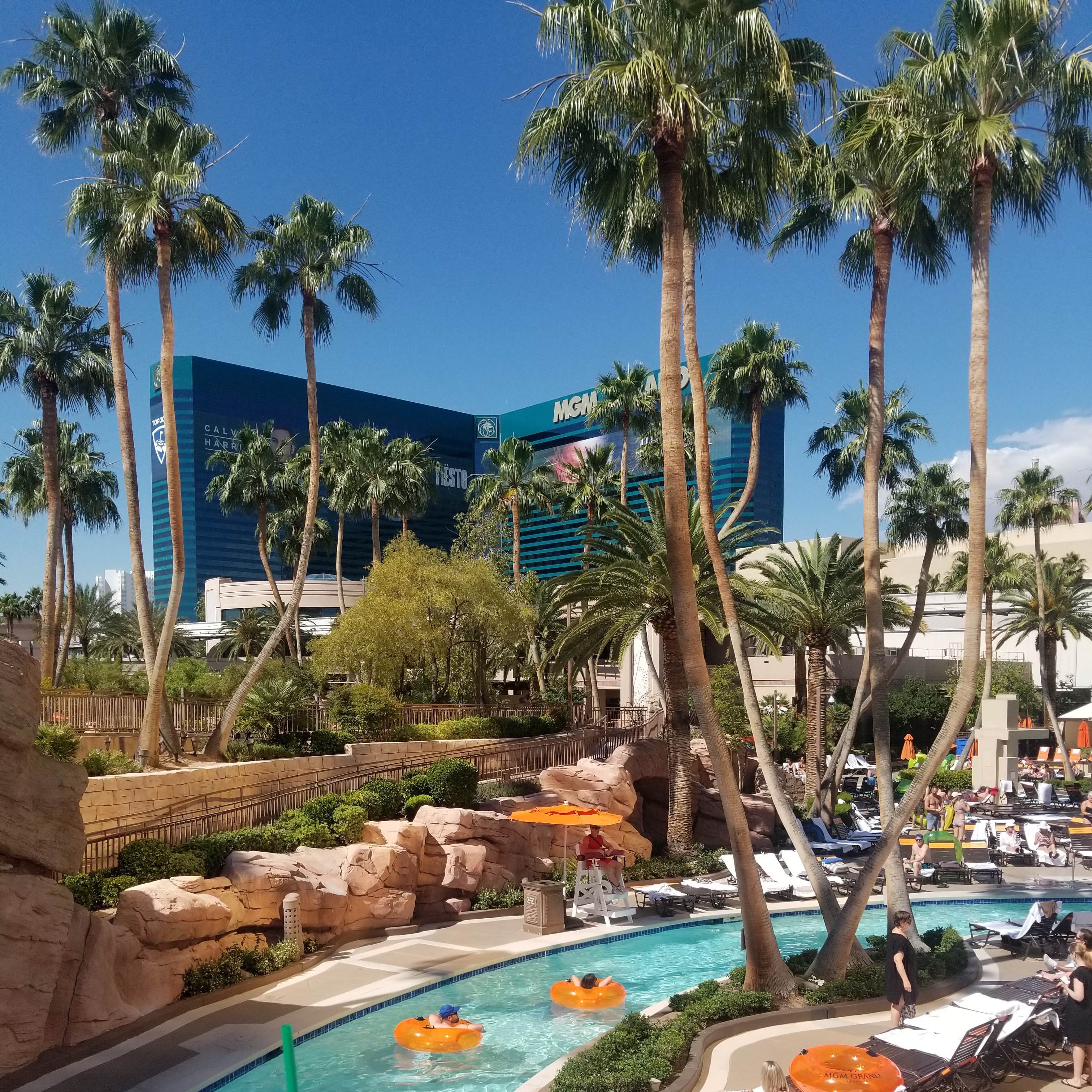 Mr. Rose City! ⚘ OnlyFans header