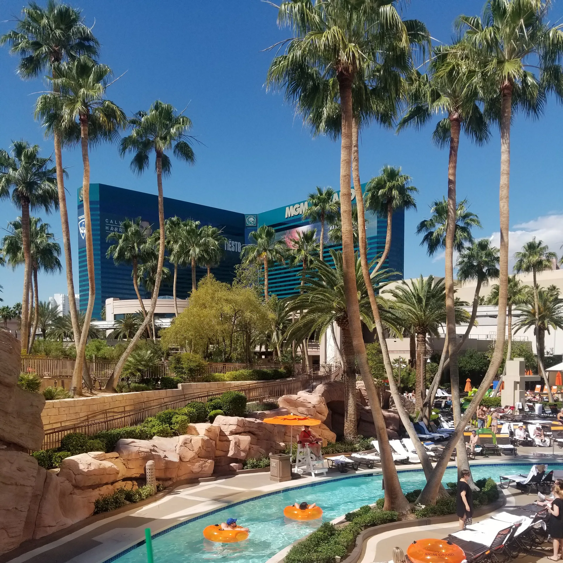 Mr. Rose City! ⚘ OnlyFans header