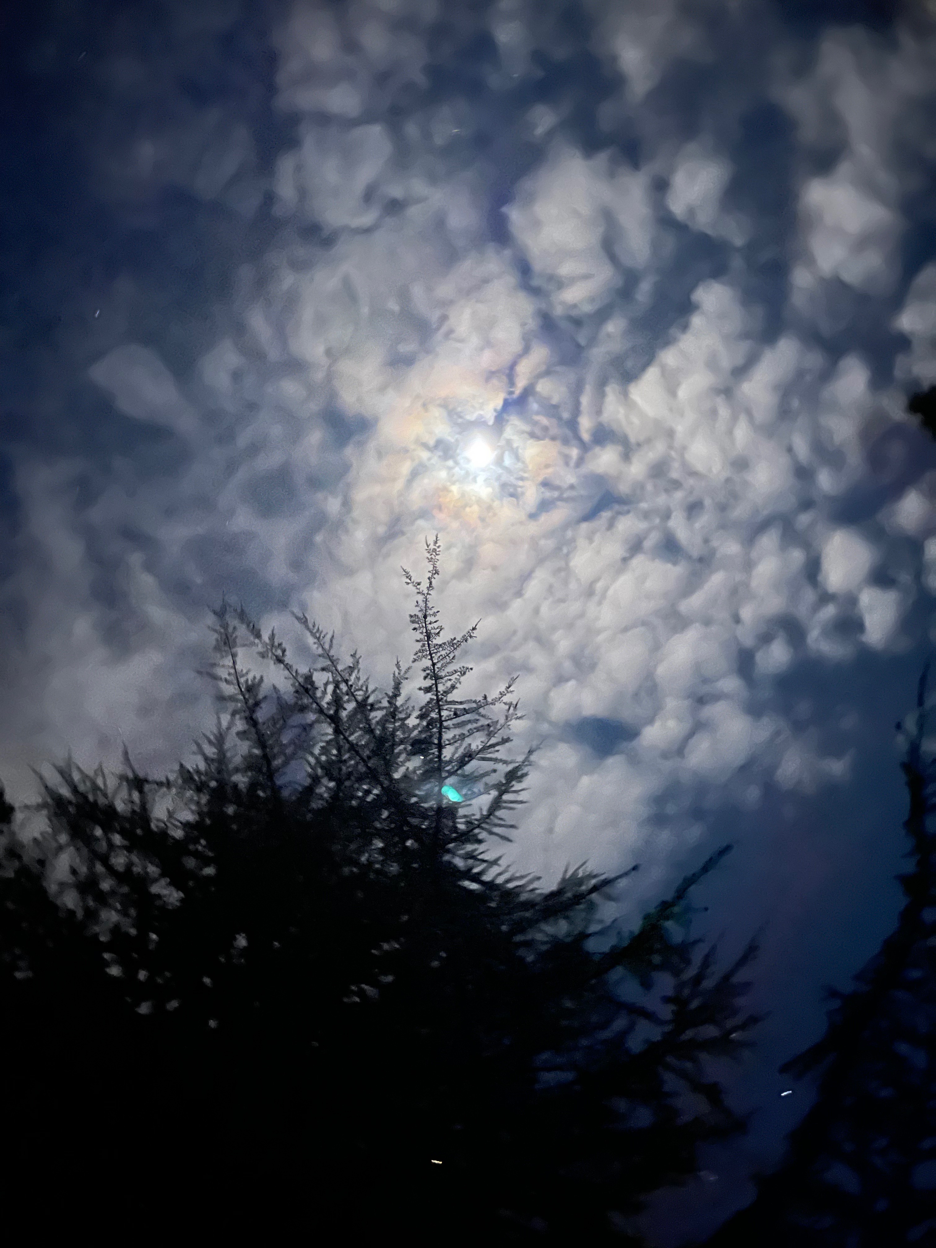 👅 OnlyFans header