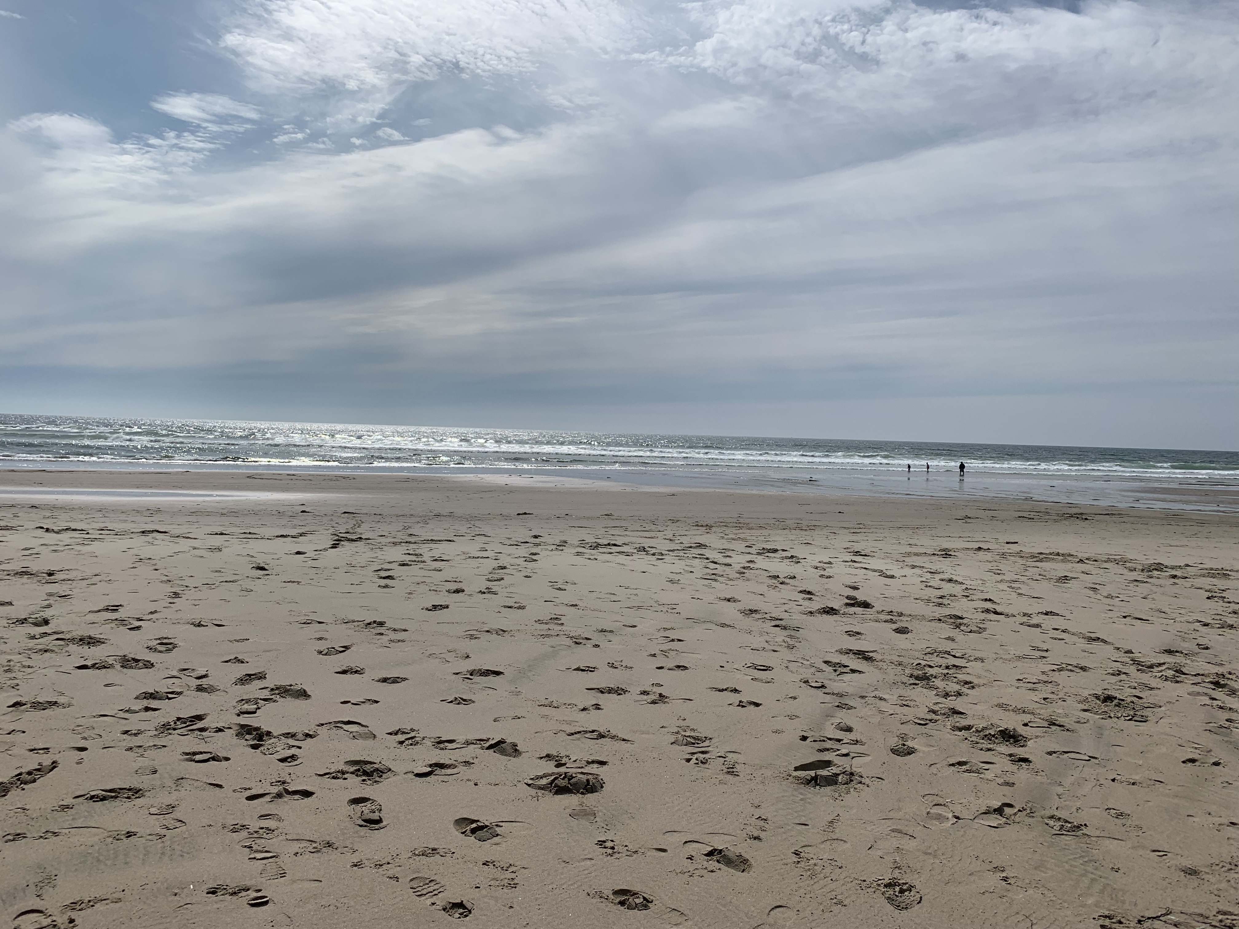 Oregongay OnlyFans header