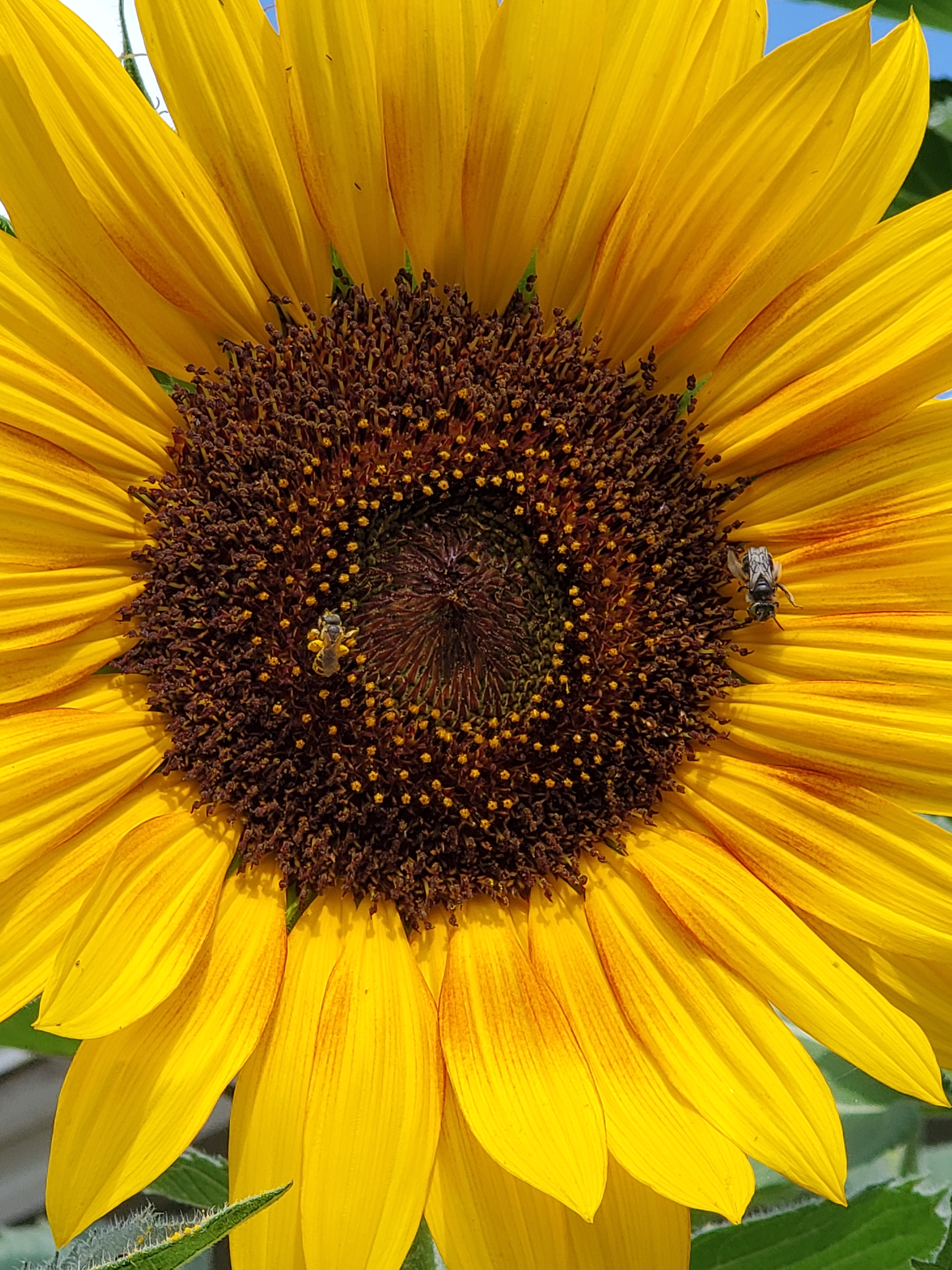 Oregongrl33 OnlyFans