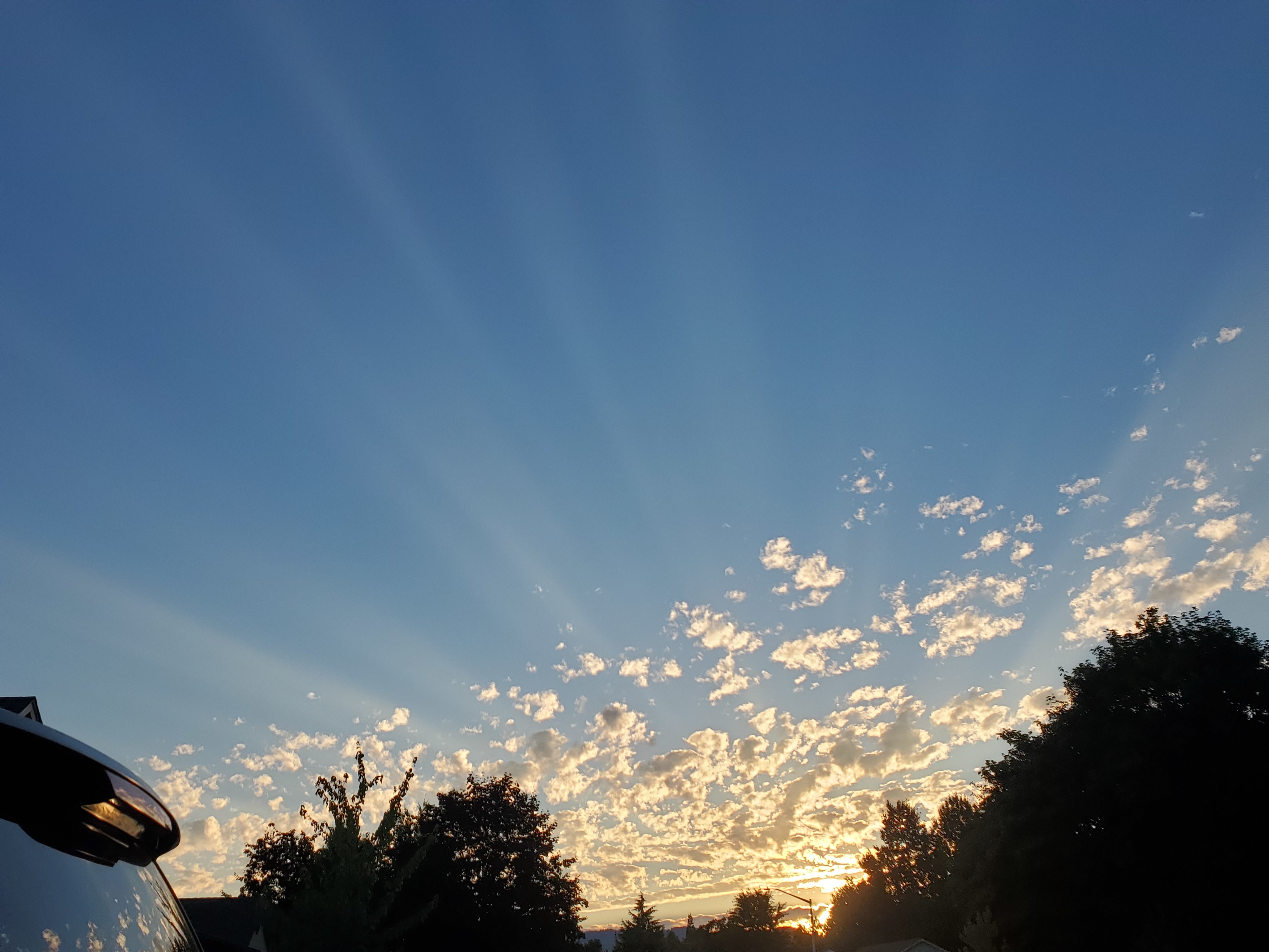 Oregongrl33 OnlyFans header