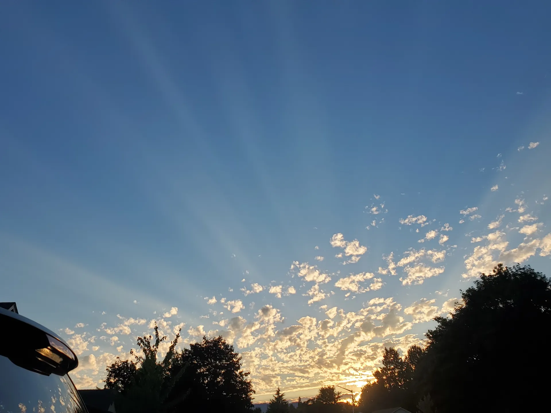 Oregongrl33 OnlyFans header