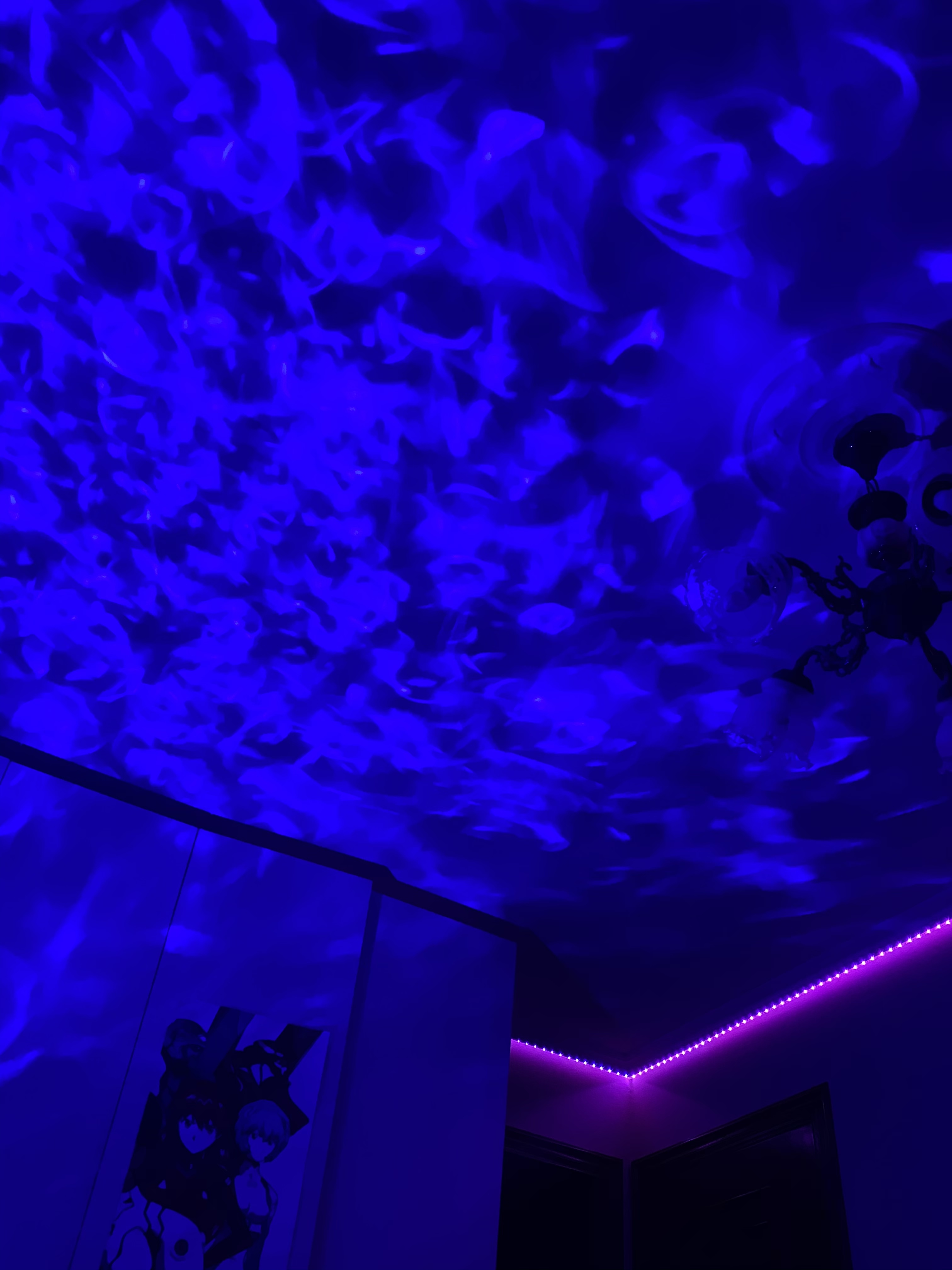 Oreoconsushi OnlyFans header