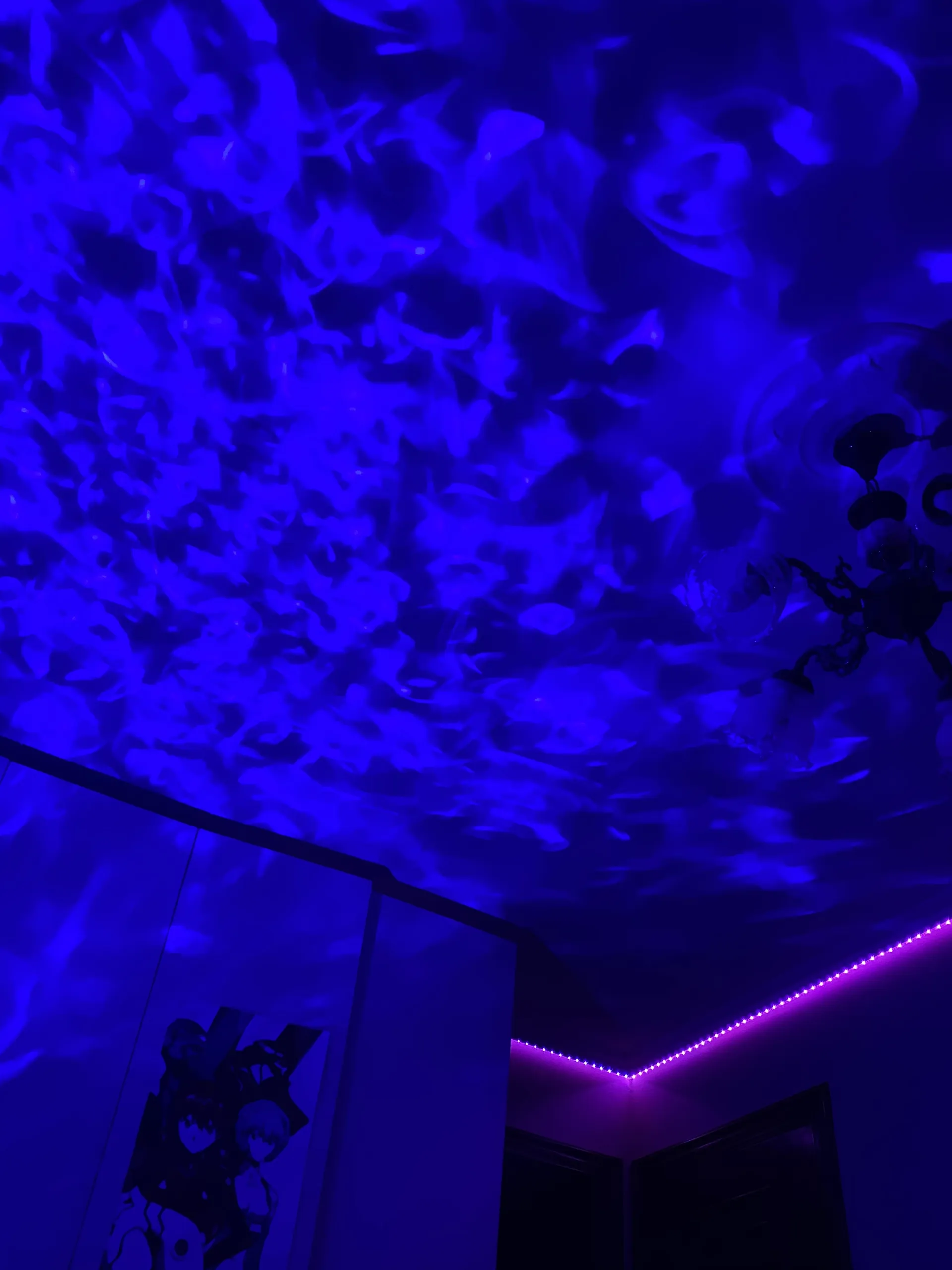 Oreoconsushi OnlyFans header