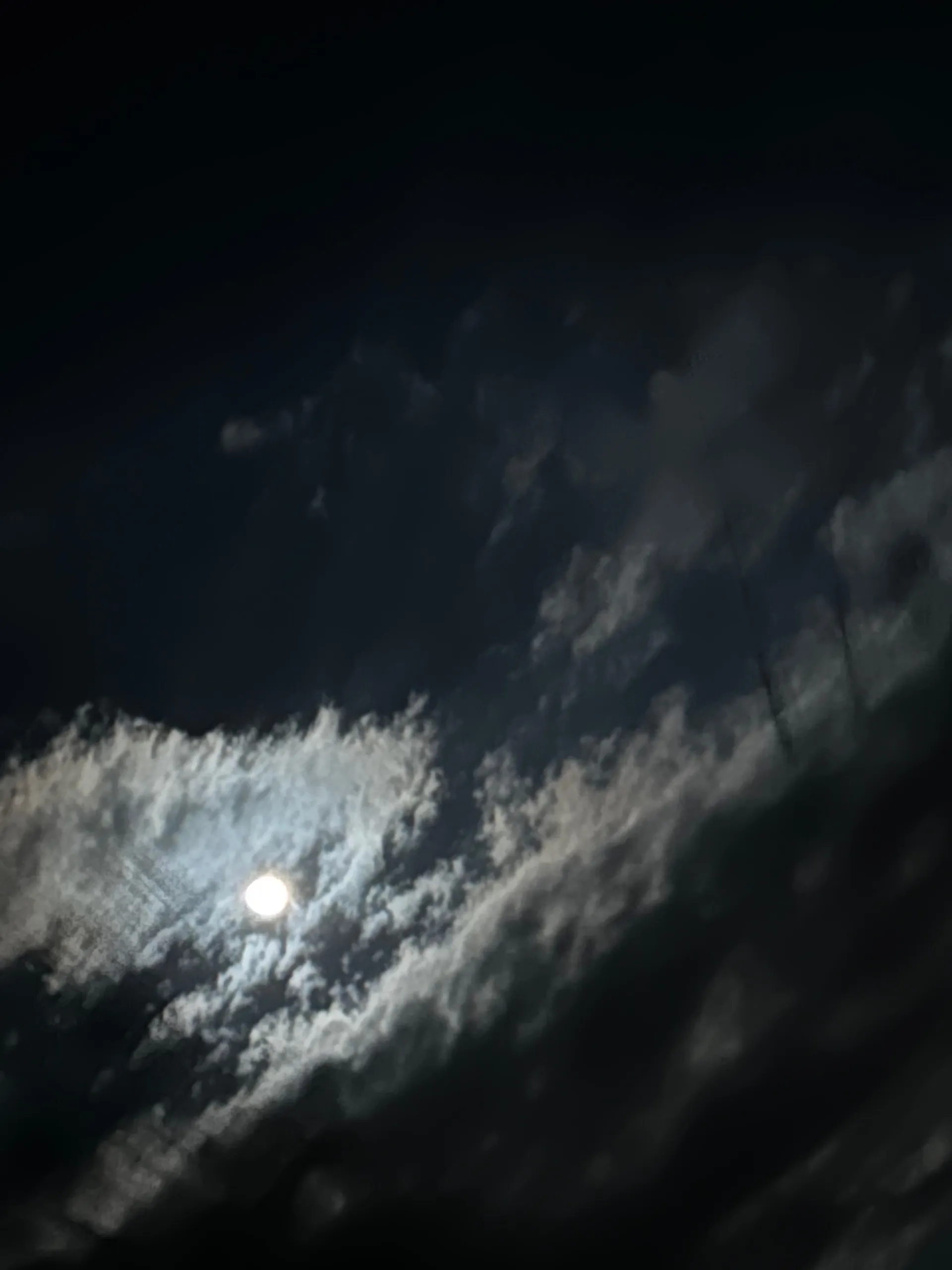 🥳 OnlyFans header