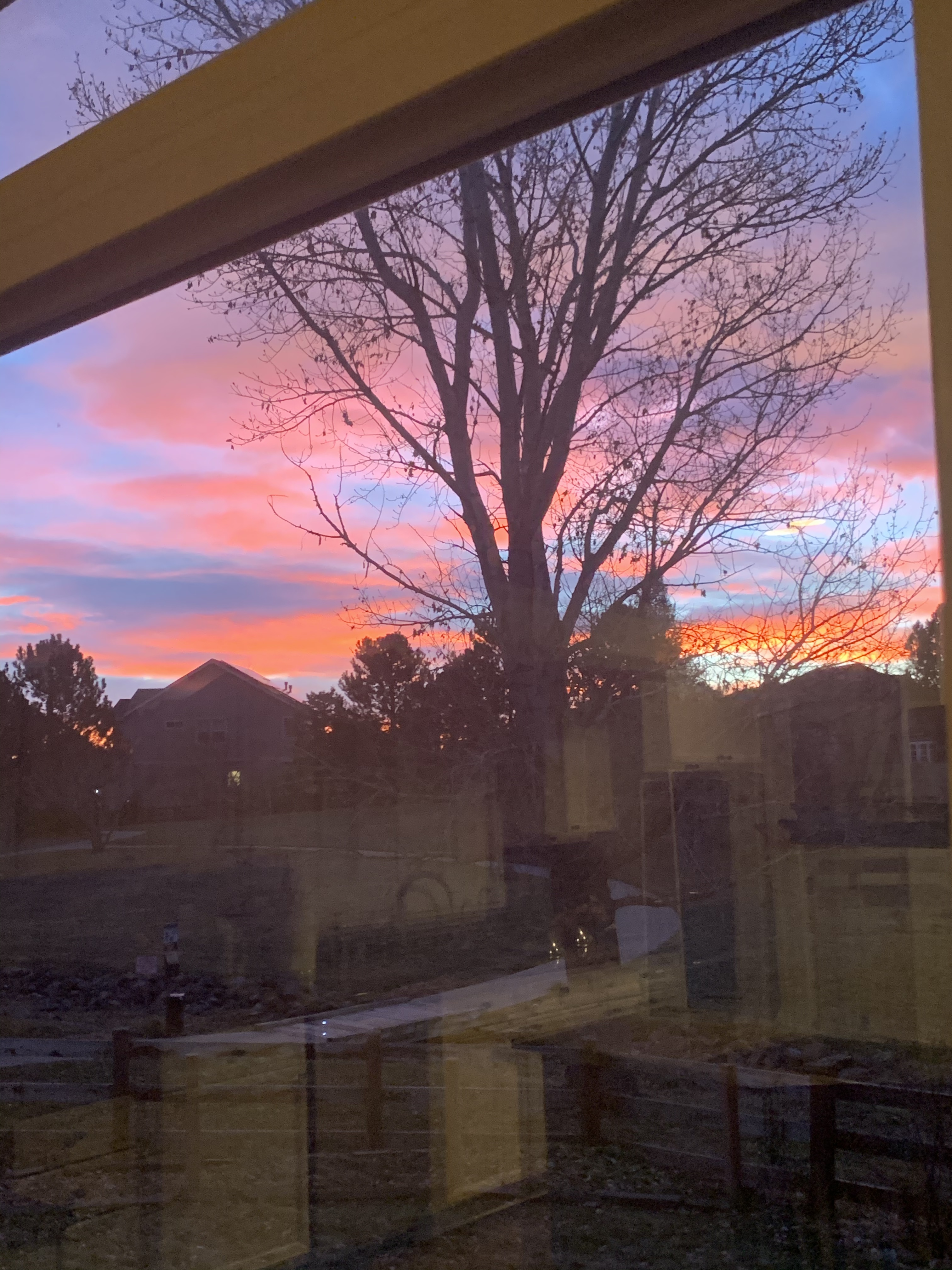 Nicole OnlyFans header