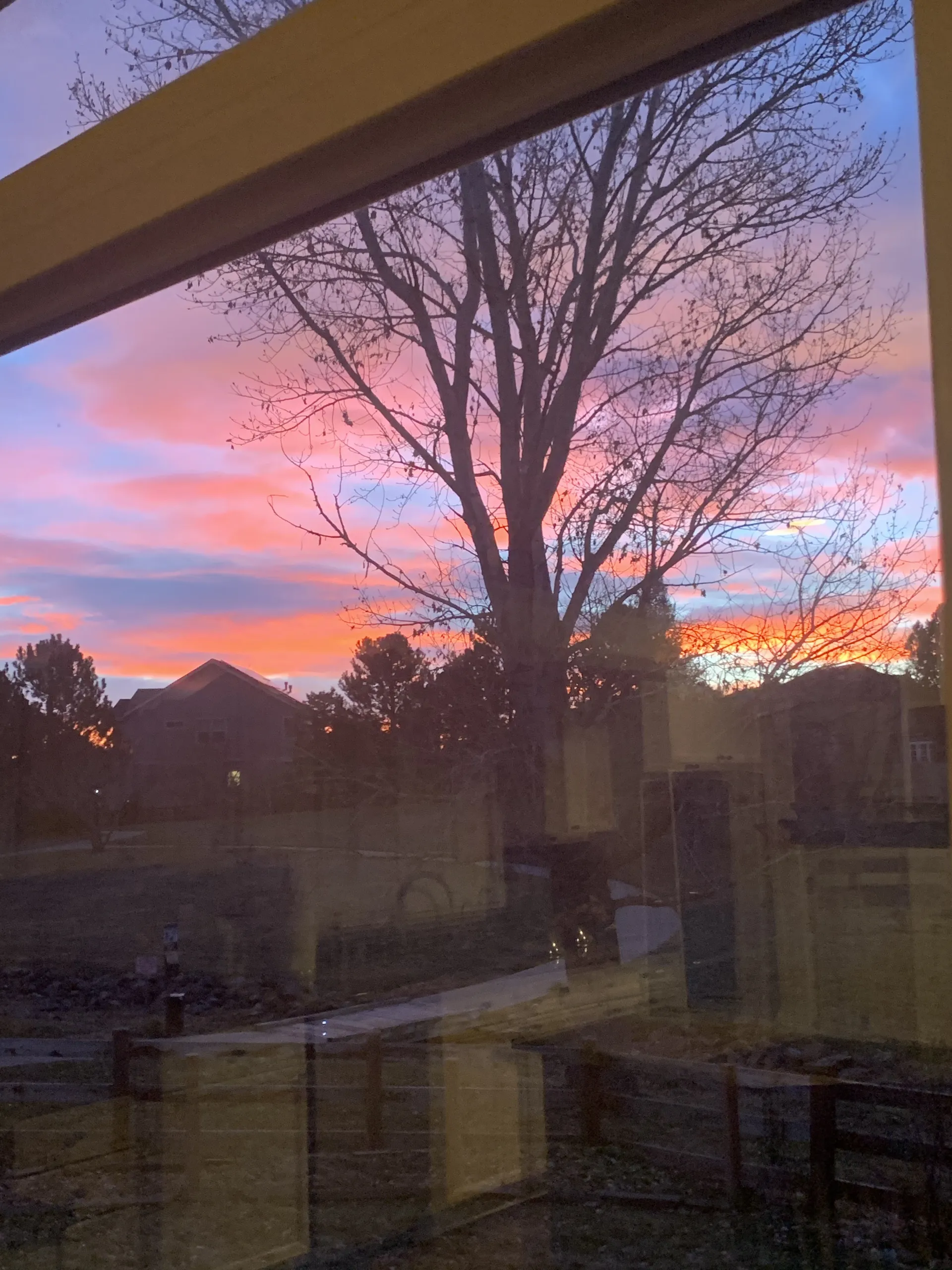 Nicole OnlyFans header