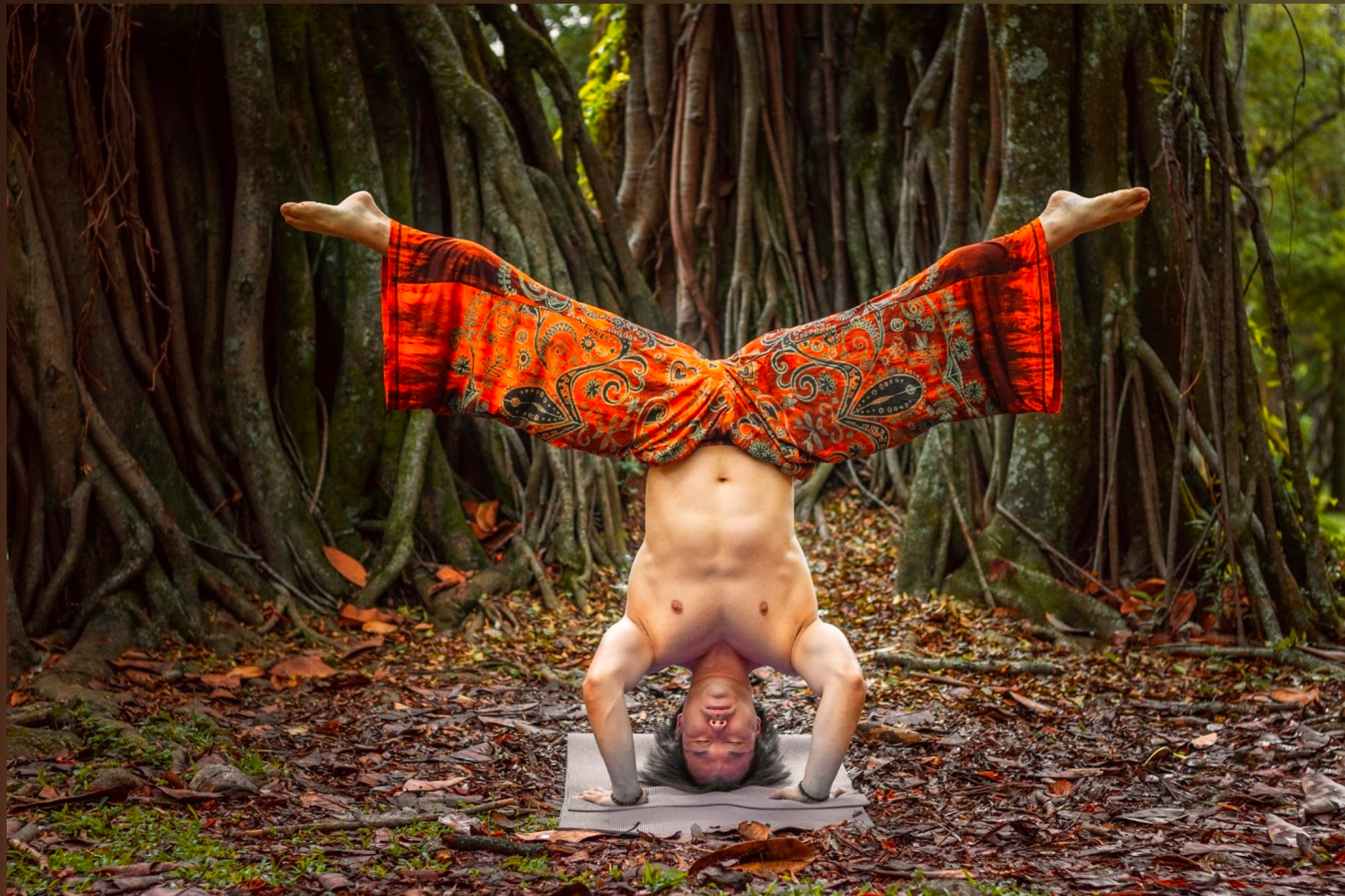 Orgasmic_Asian OnlyFans header