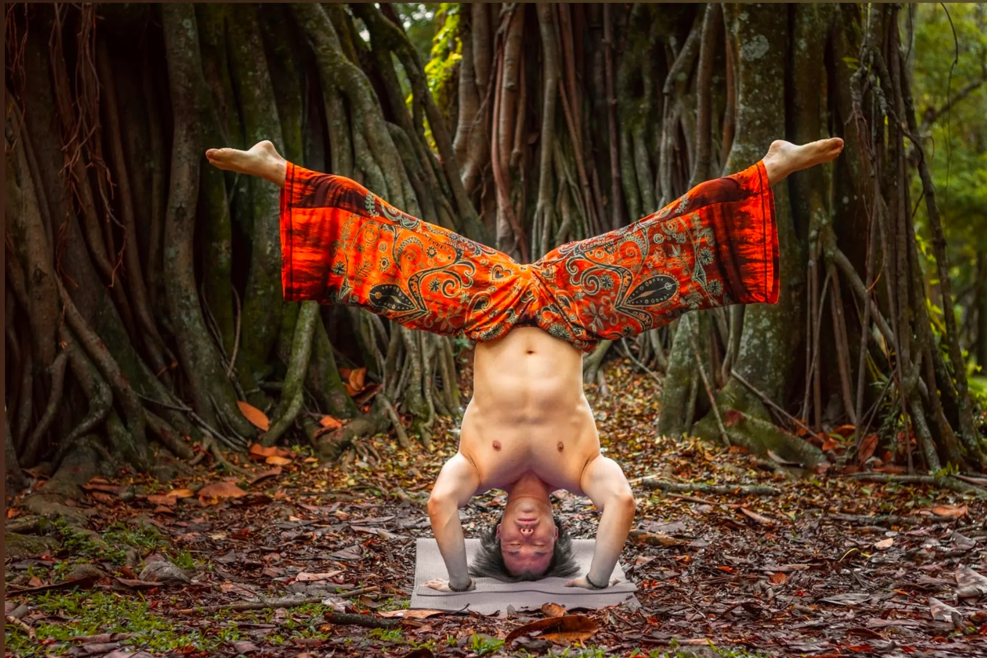 Orgasmic_Asian OnlyFans header