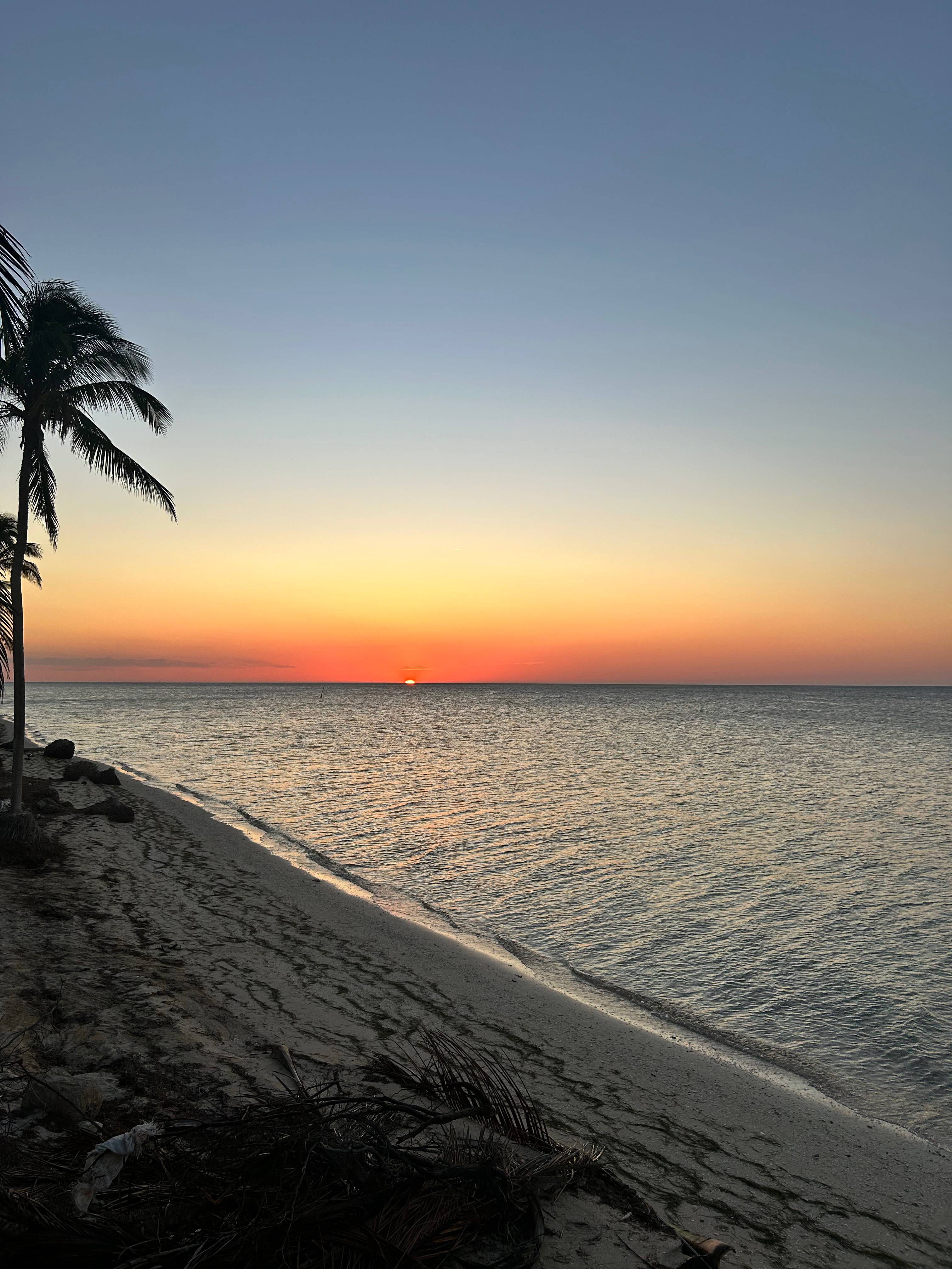 Ori💋 OnlyFans header