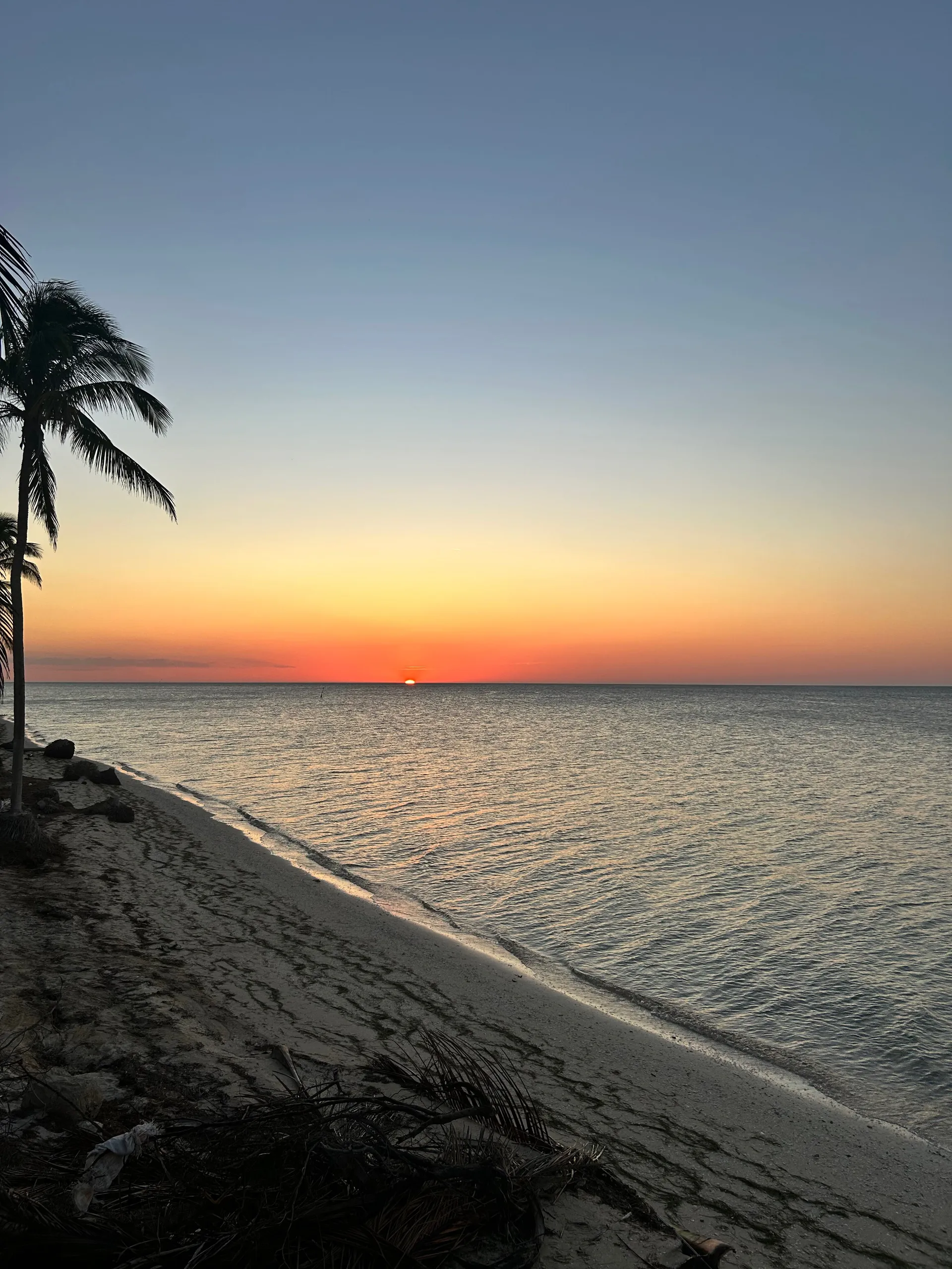 Ori💋 OnlyFans header