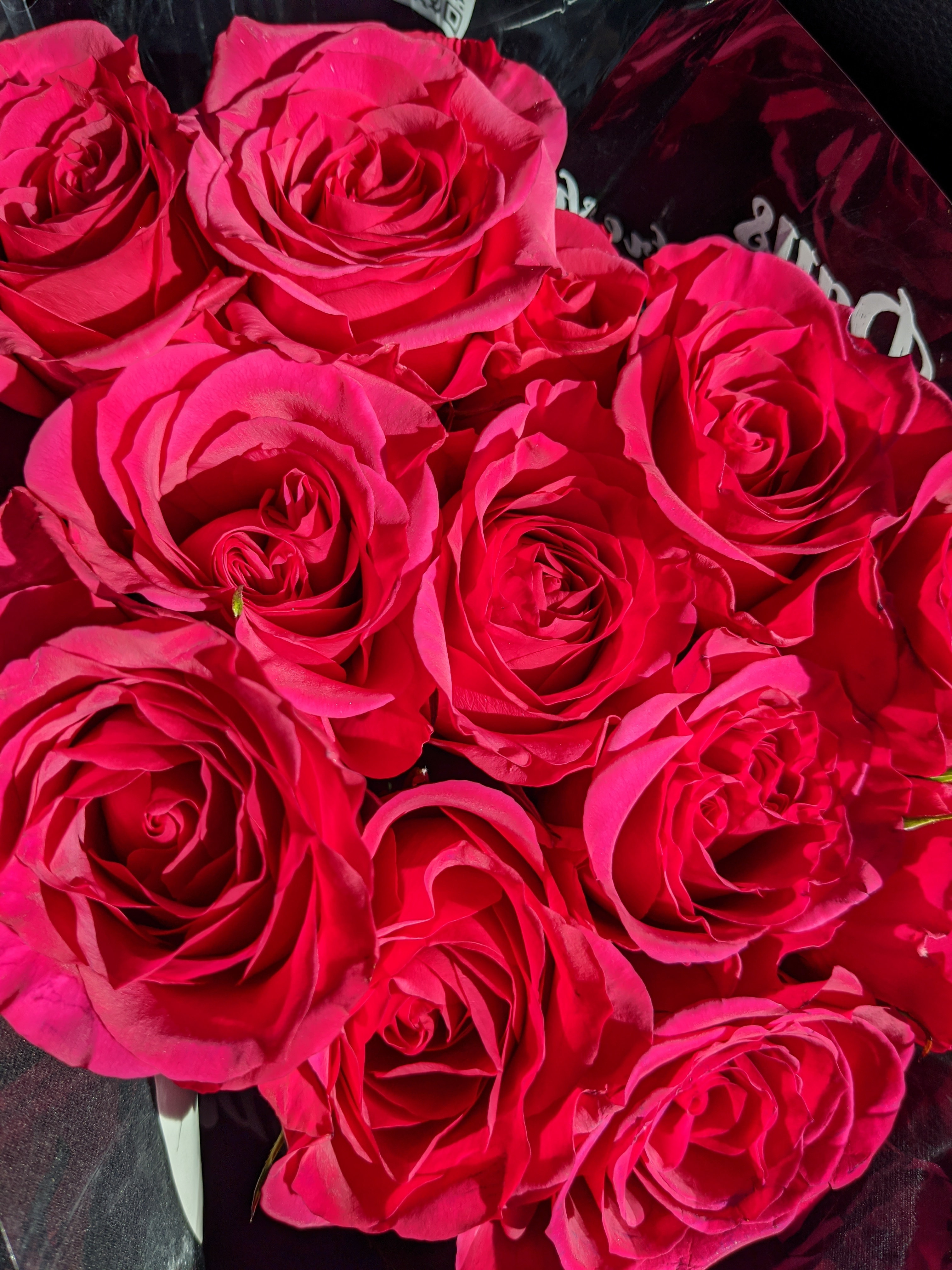 Alitalia Cass OnlyFans header