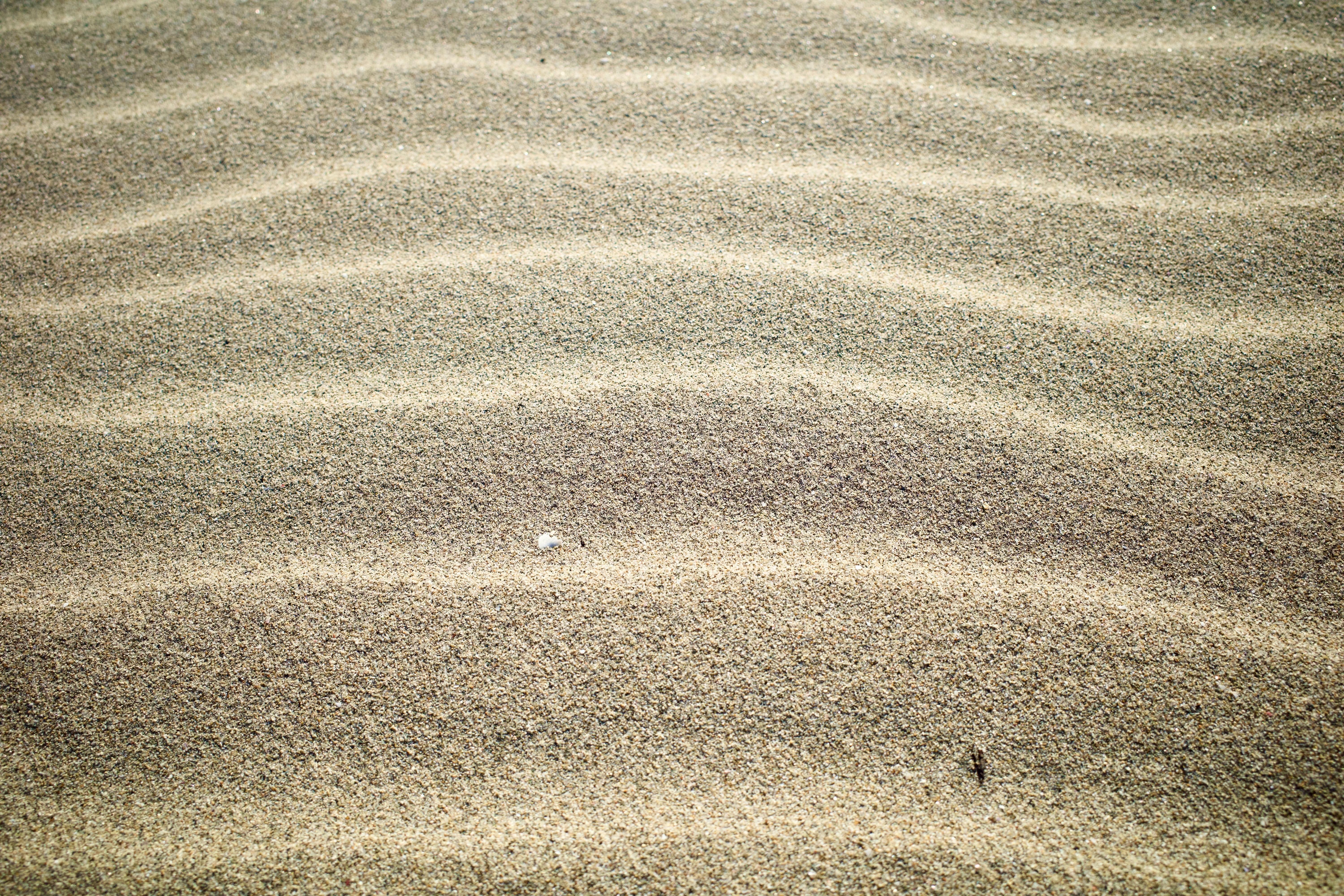 Mike OnlyFans header