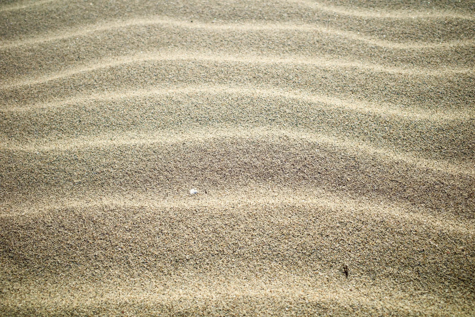 Mike OnlyFans header