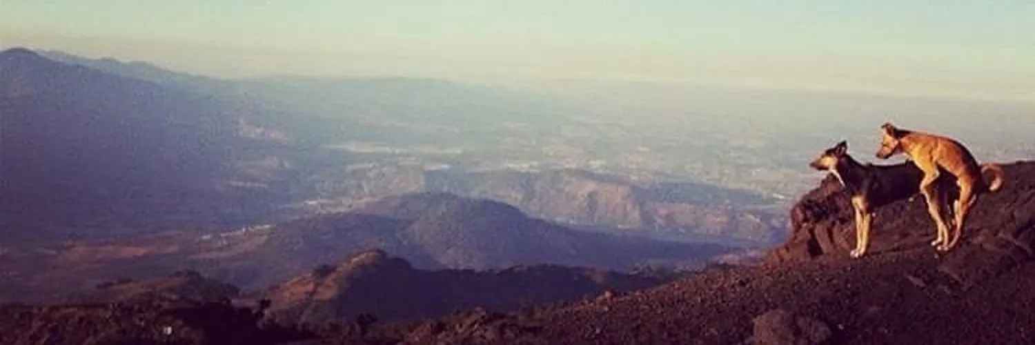 Orion 😈 OnlyFans header