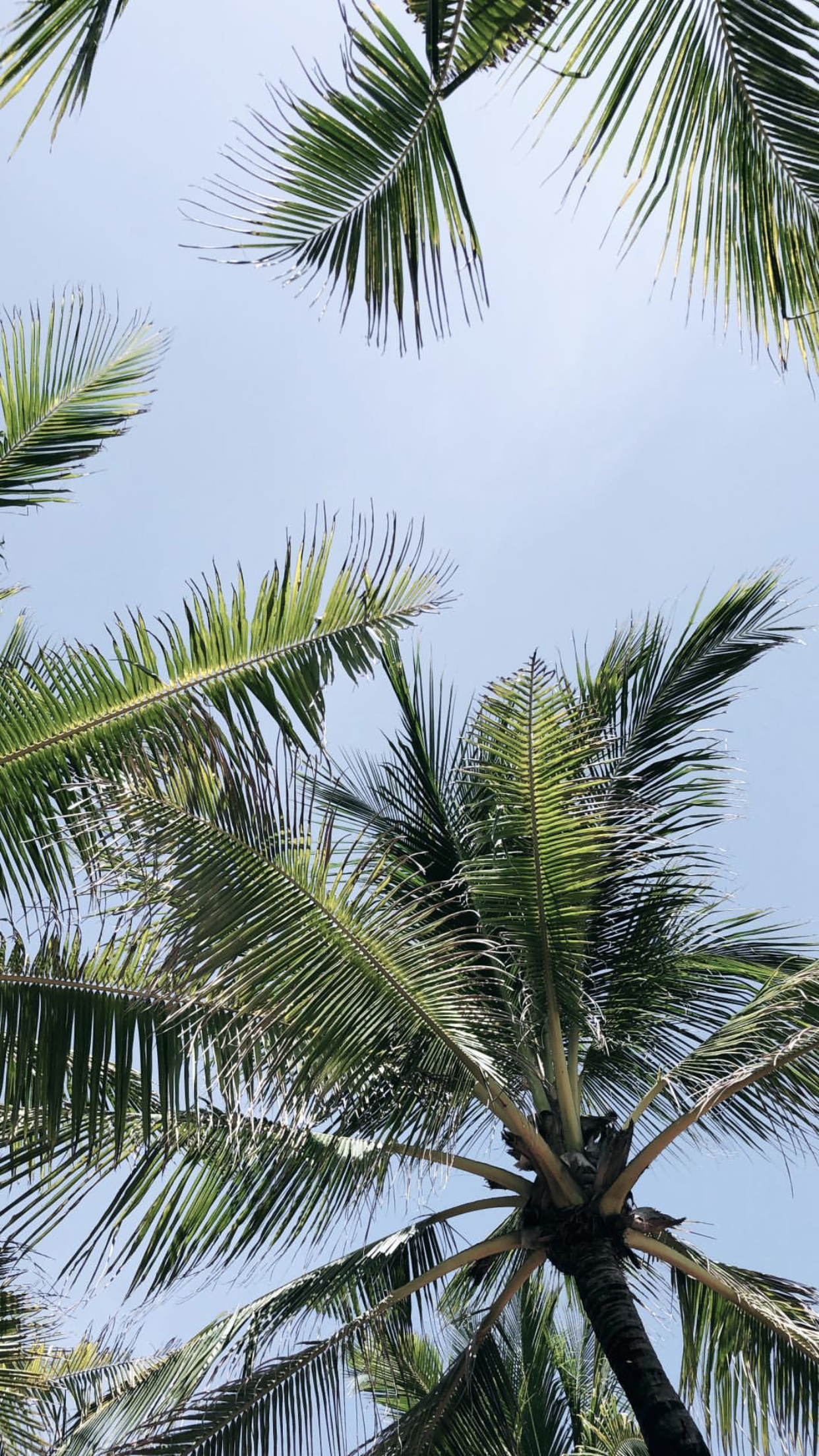 orlandodude OnlyFans header