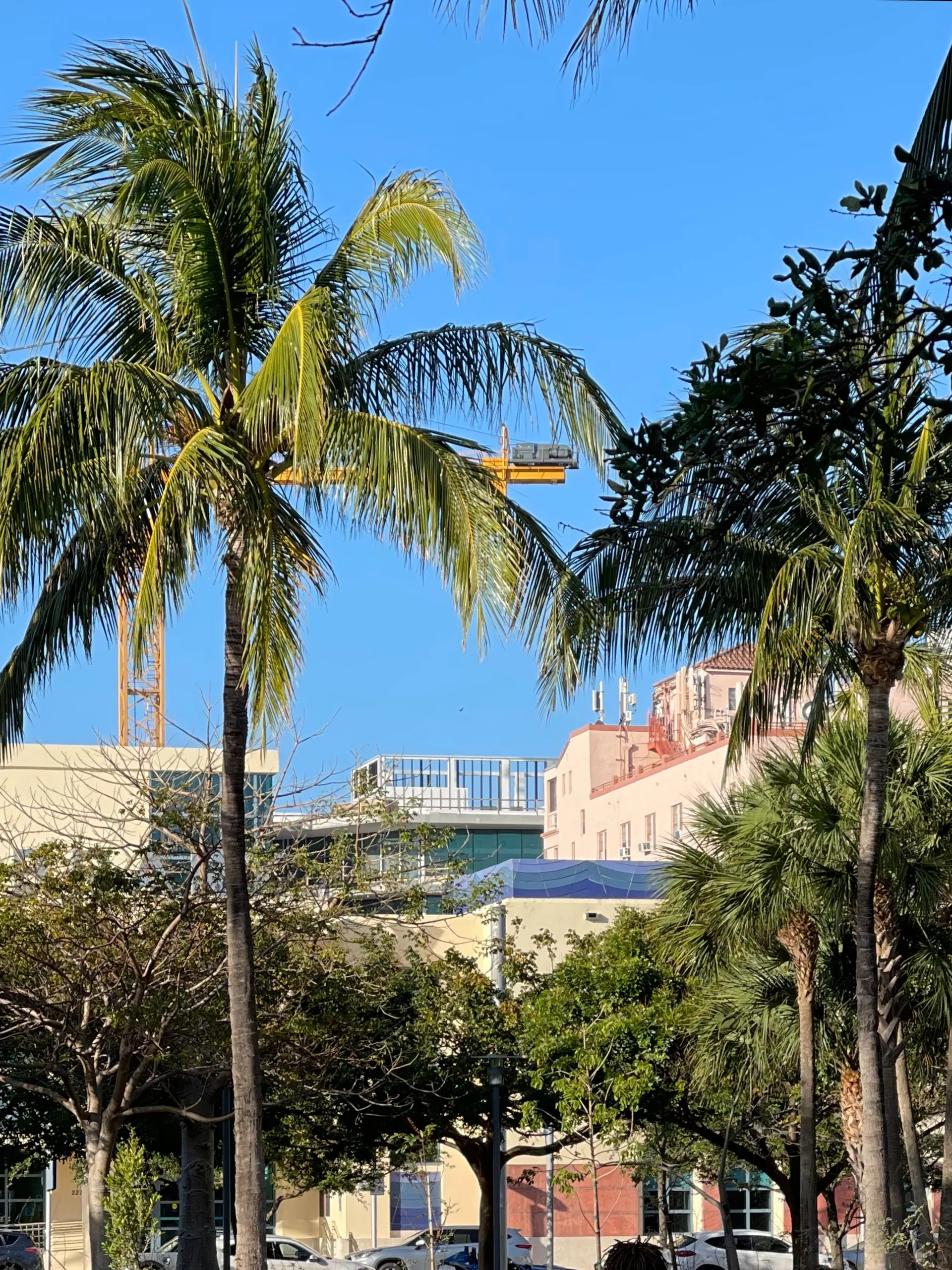 Orlando  Lopez OnlyFans header