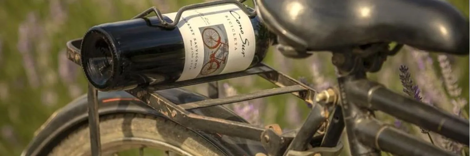 Orlando OnlyFans header