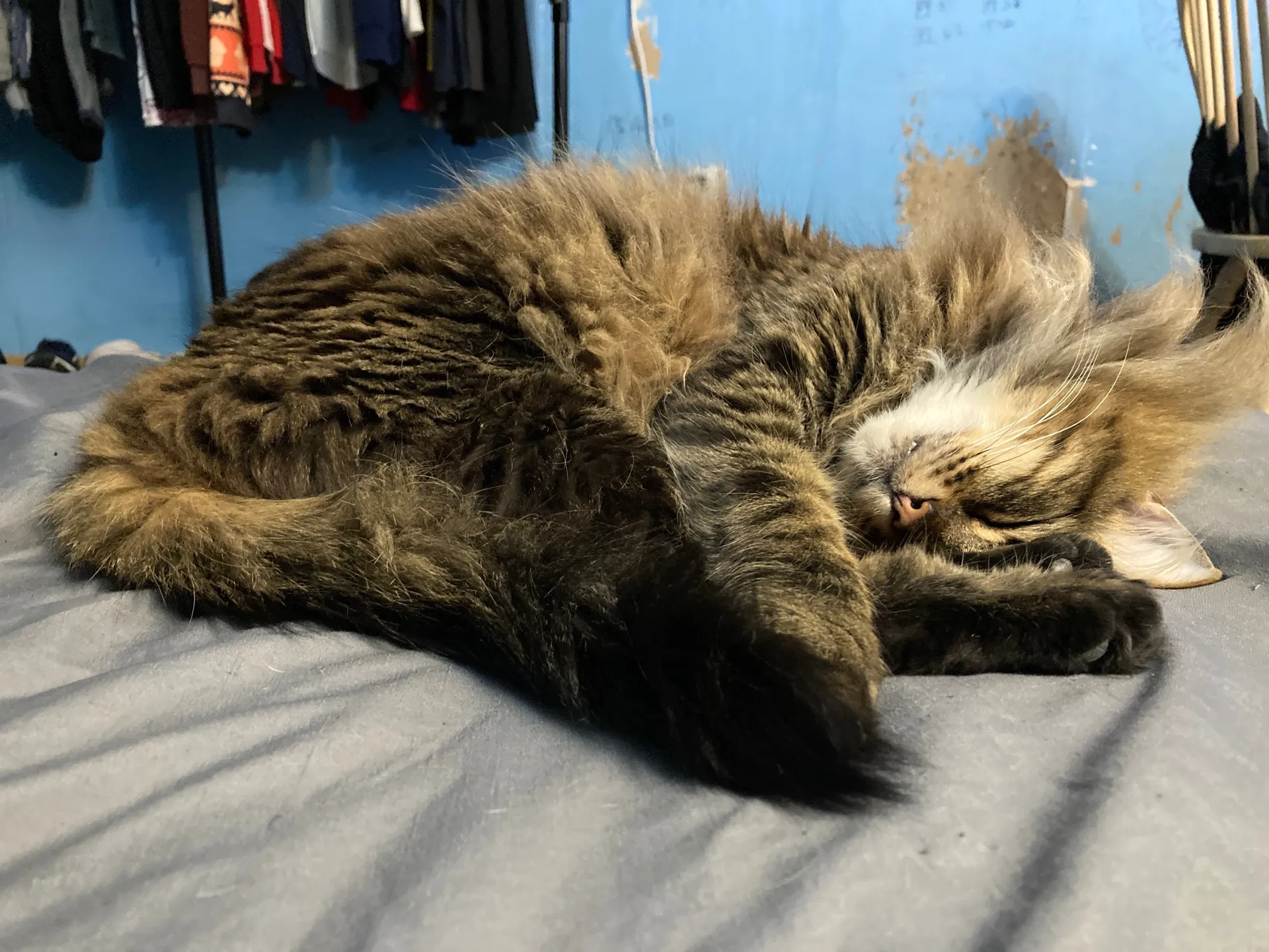 Erik Ornelas OnlyFans header