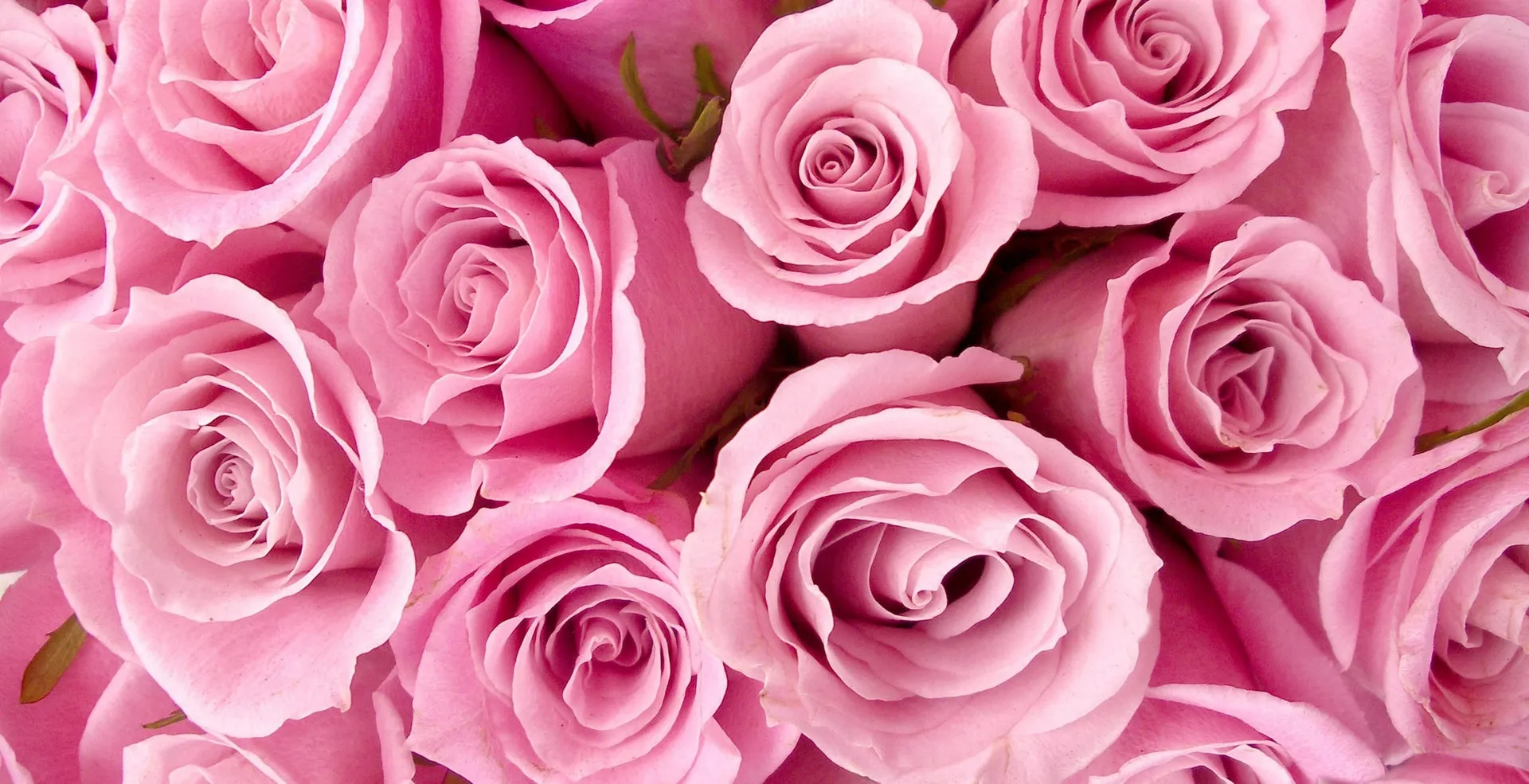 Orrea 💕 OnlyFans header