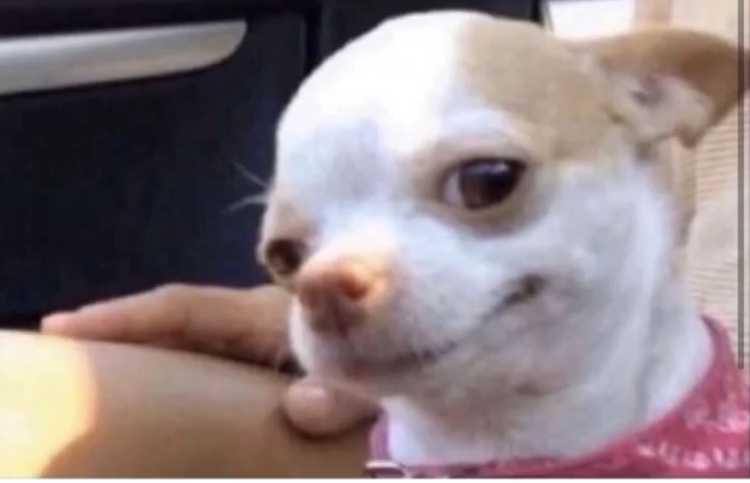 Orrion OnlyFans header