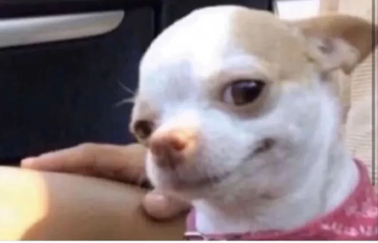 Orrion OnlyFans header