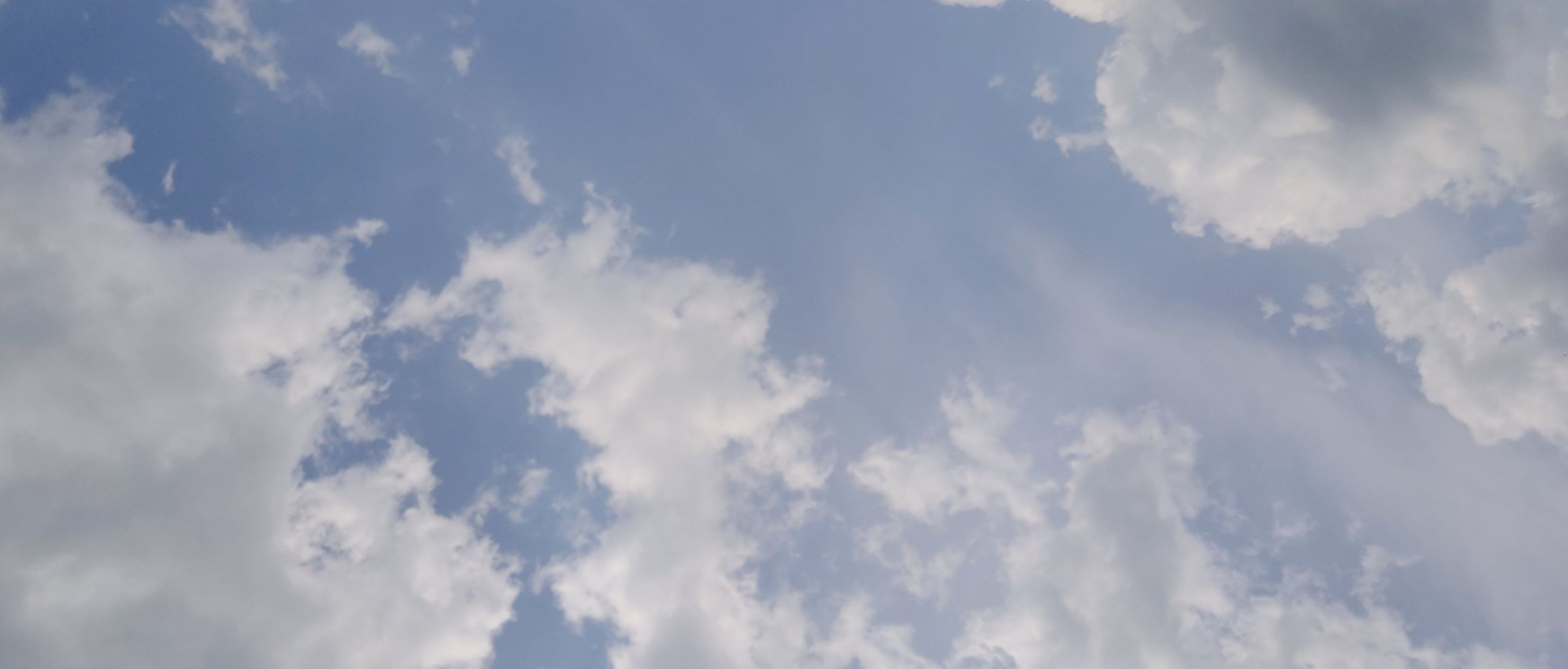 Sunni 💛 OnlyFans header