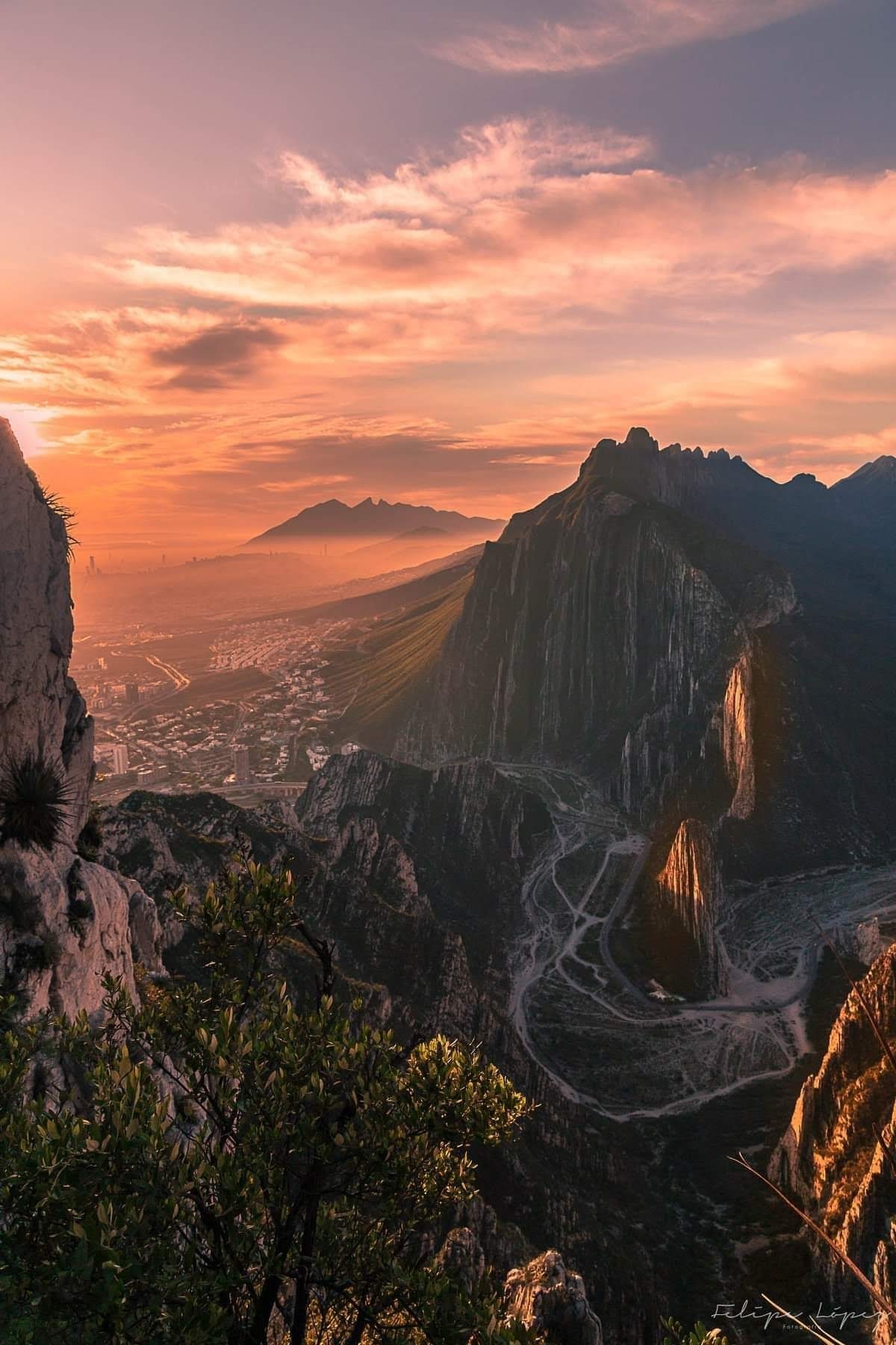 @Oscar OnlyFans header